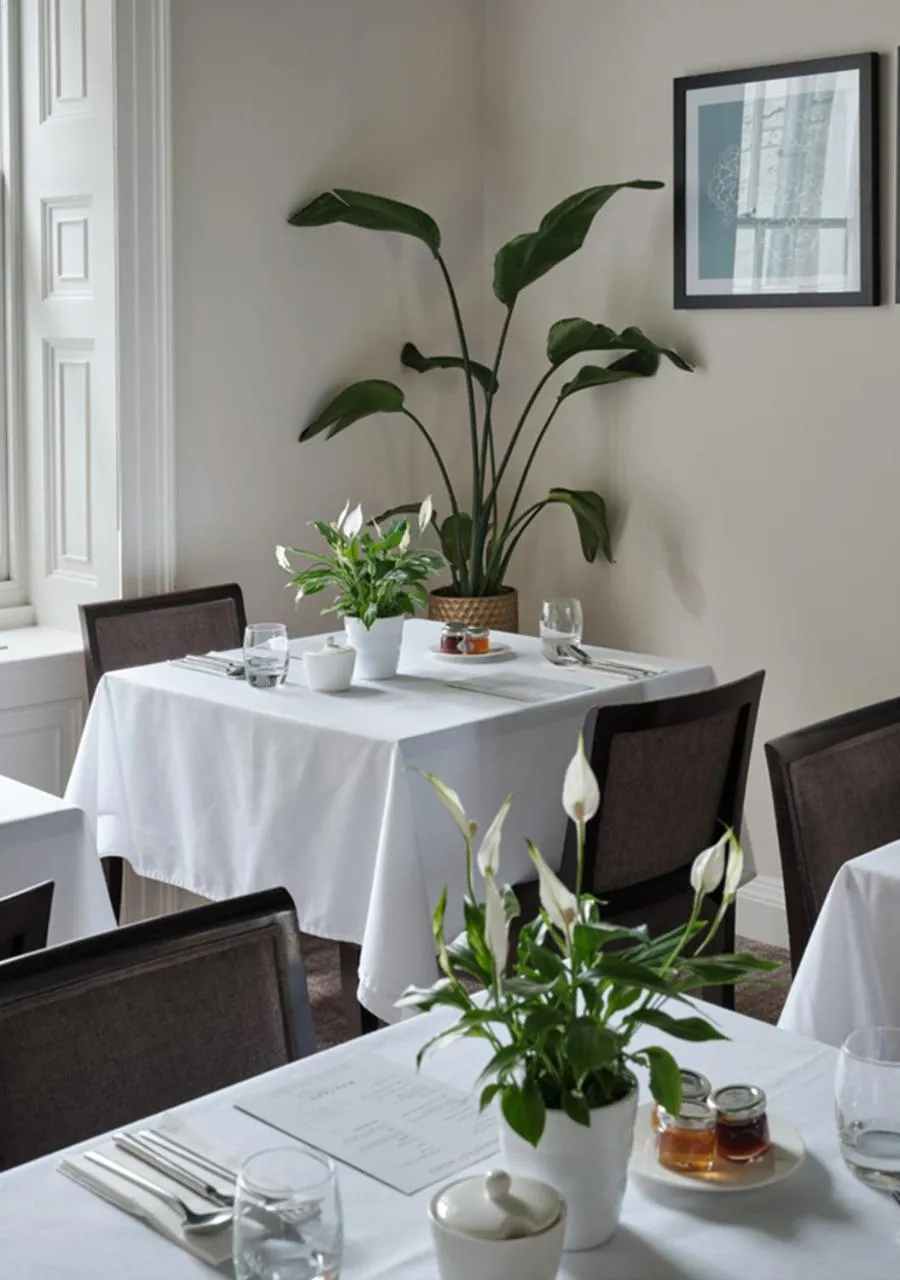 Dining area in Montagu Place Hotel