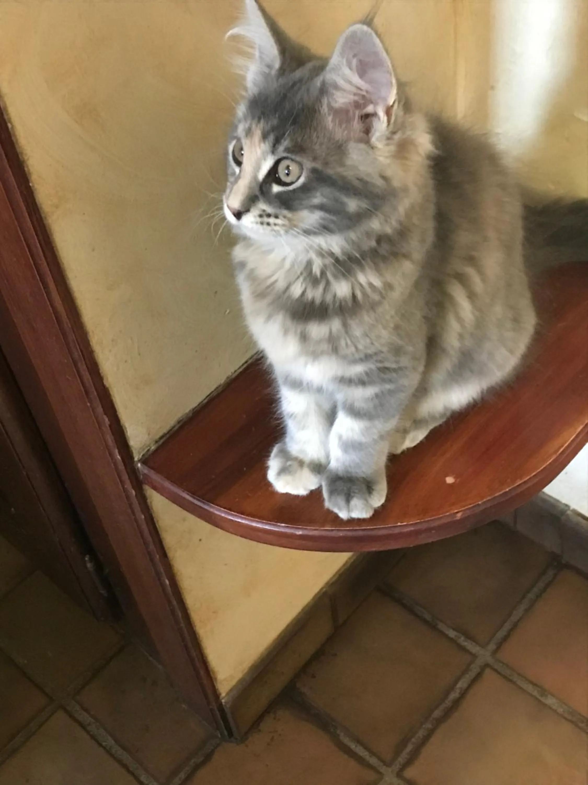 Demeure d'hôtes Les Irisynes