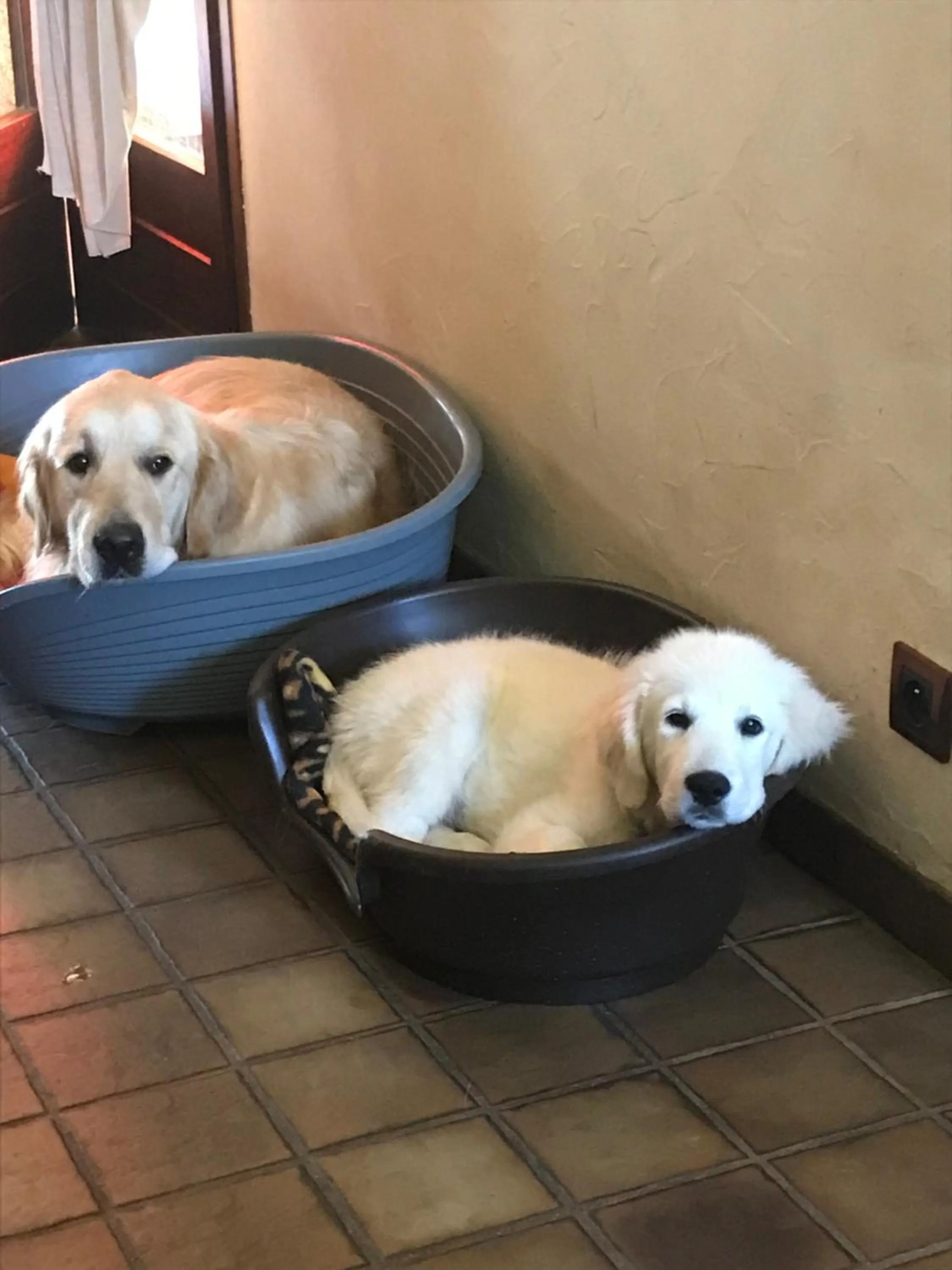 Demeure d'hôtes Les Irisynes