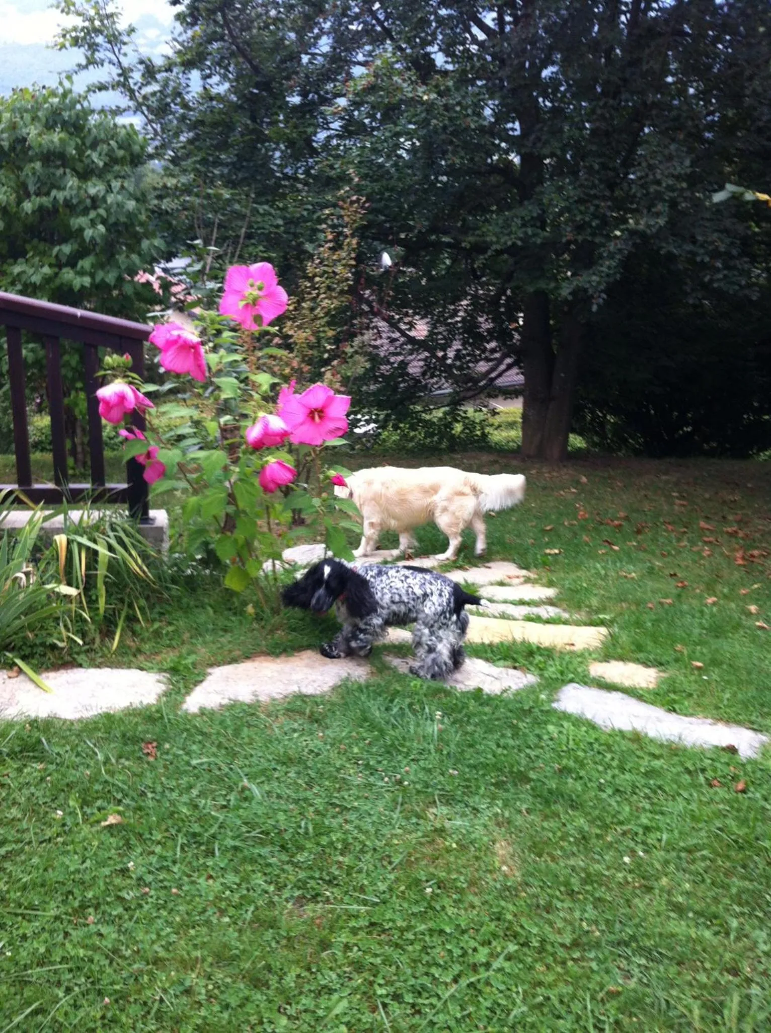 Garden in Demeure d'hôtes Les Irisynes