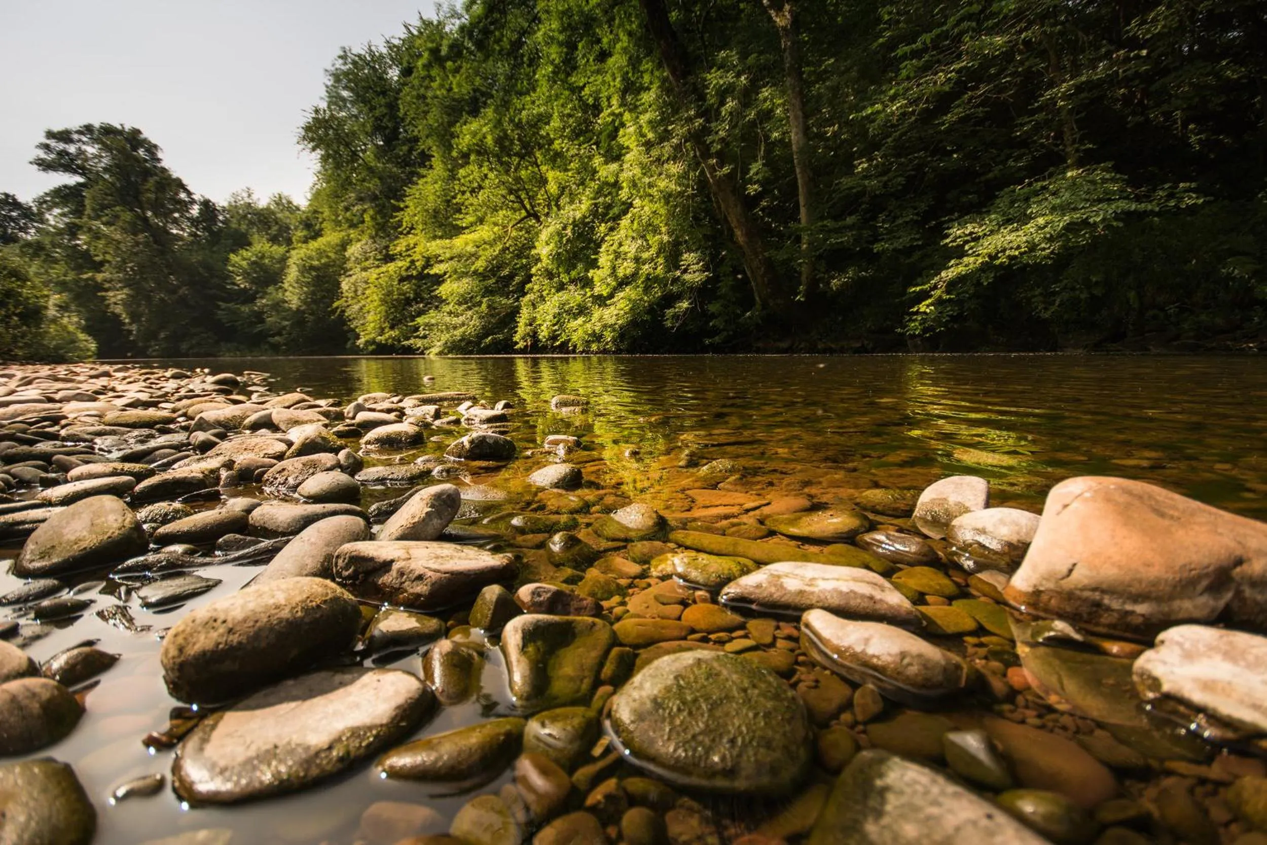 Peterstone Court Country House Restaurant & Spa