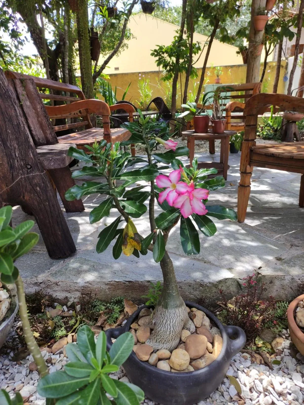 Garden in TEMPLÁRIOS ECOVILLA Pousada