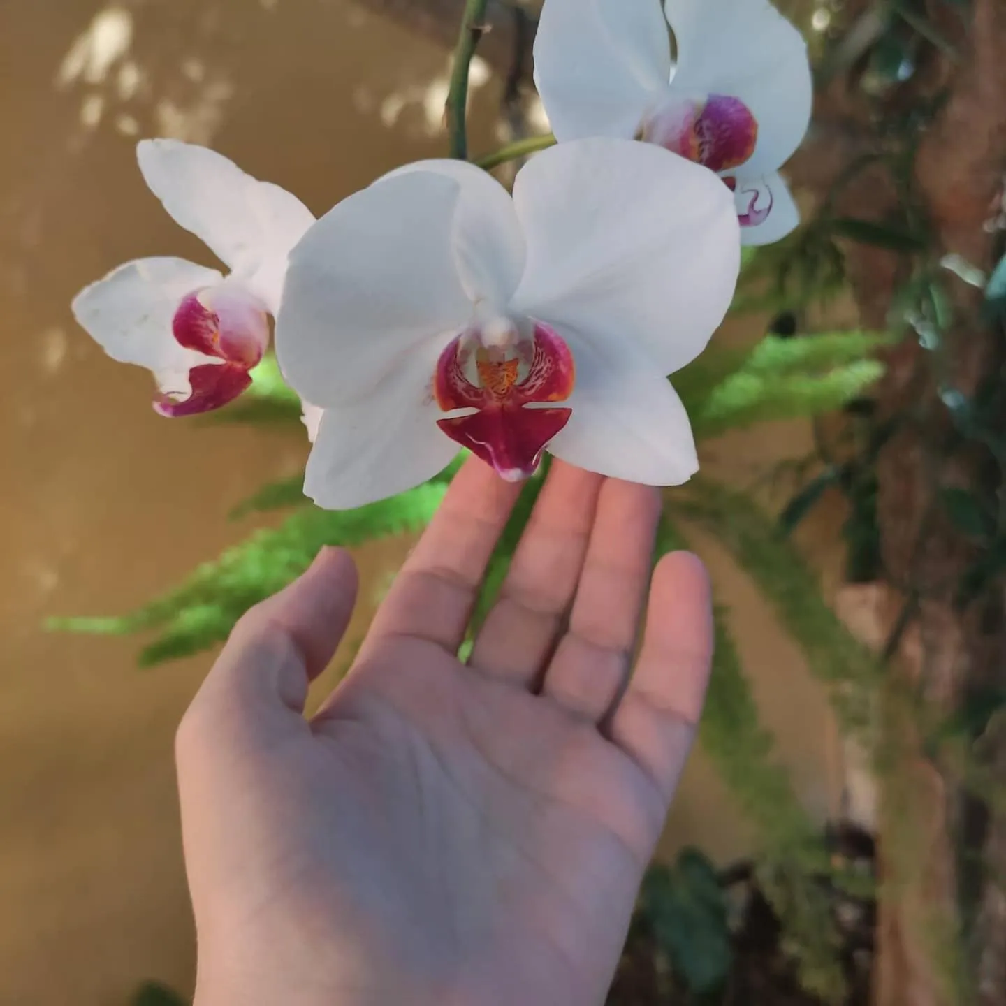 Natural landscape in TEMPLÁRIOS ECOVILLA Pousada
