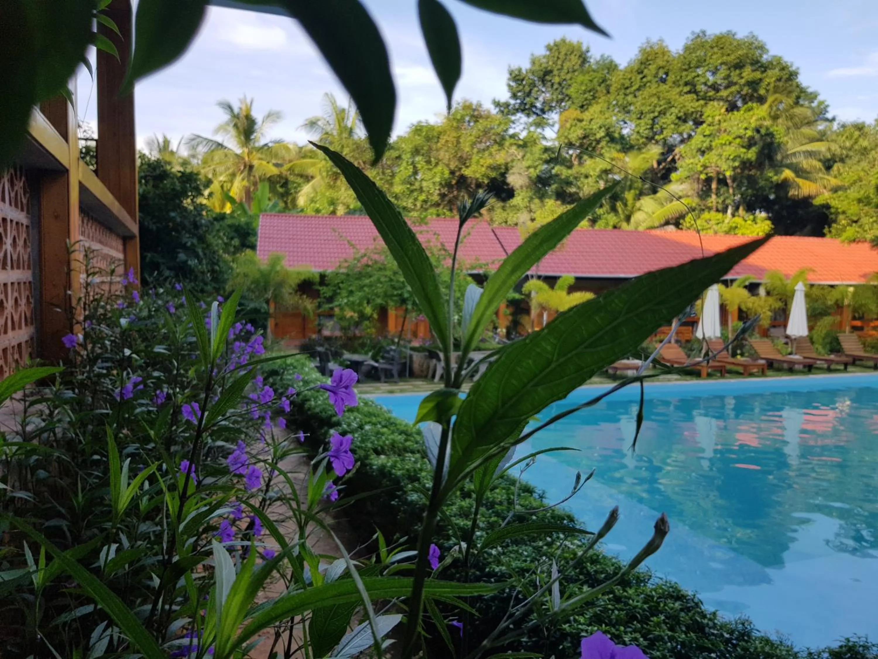 Swimming pool in Azura Resort Phu Quoc