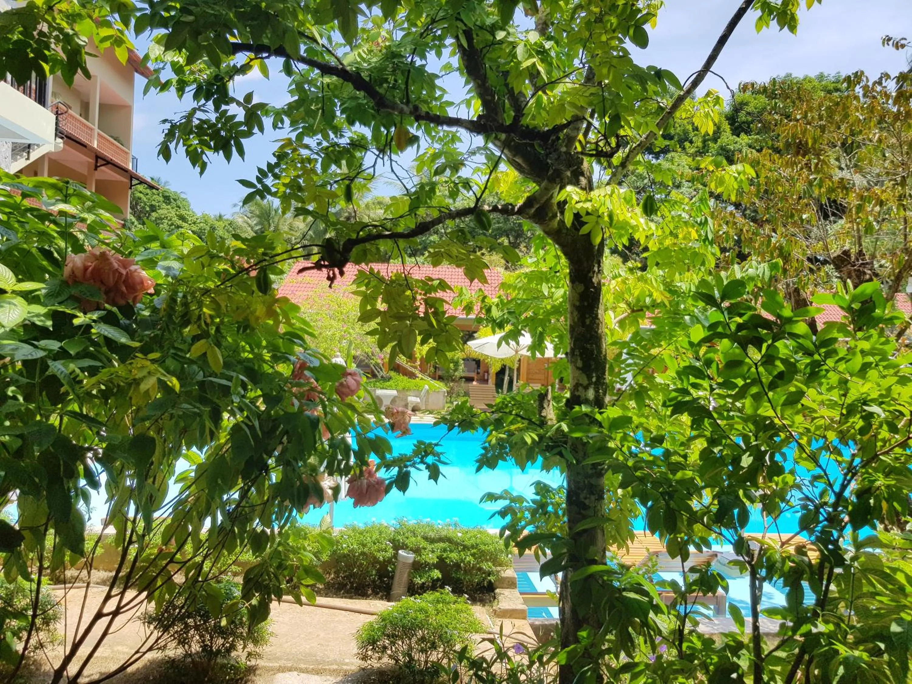 Natural landscape in Azura Resort Phu Quoc