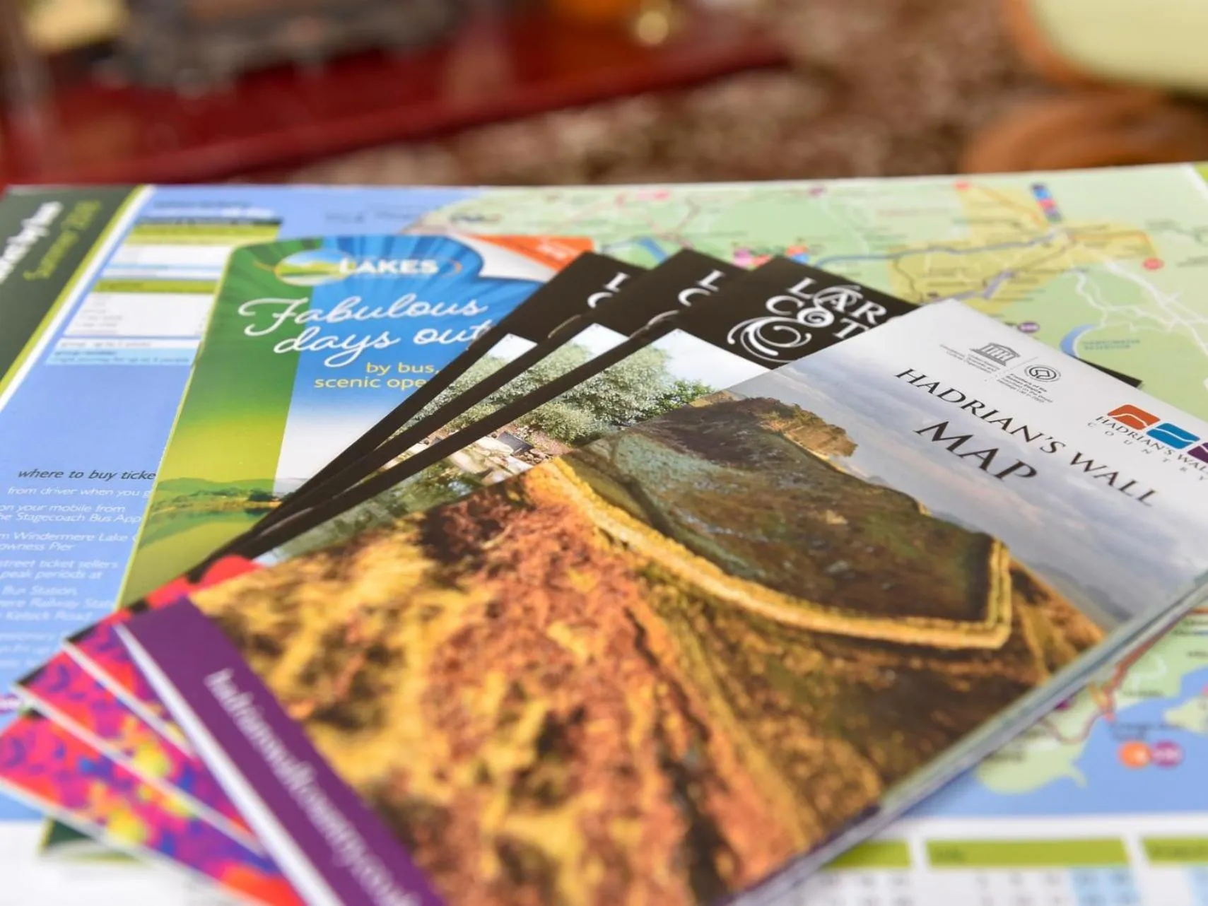 Other in The Warren Guest House