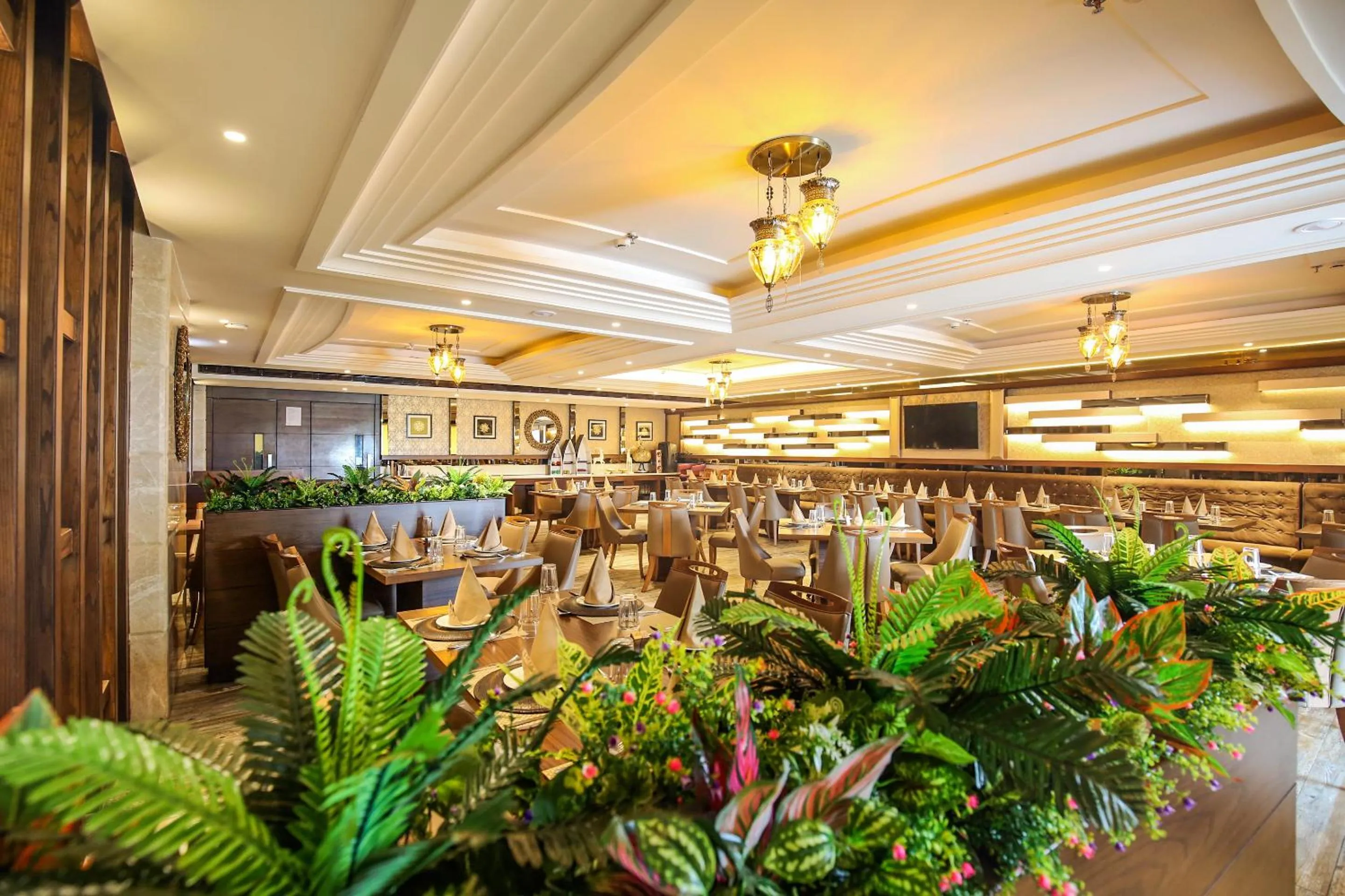 Restaurant/places to eat in Hotel Stella Continental