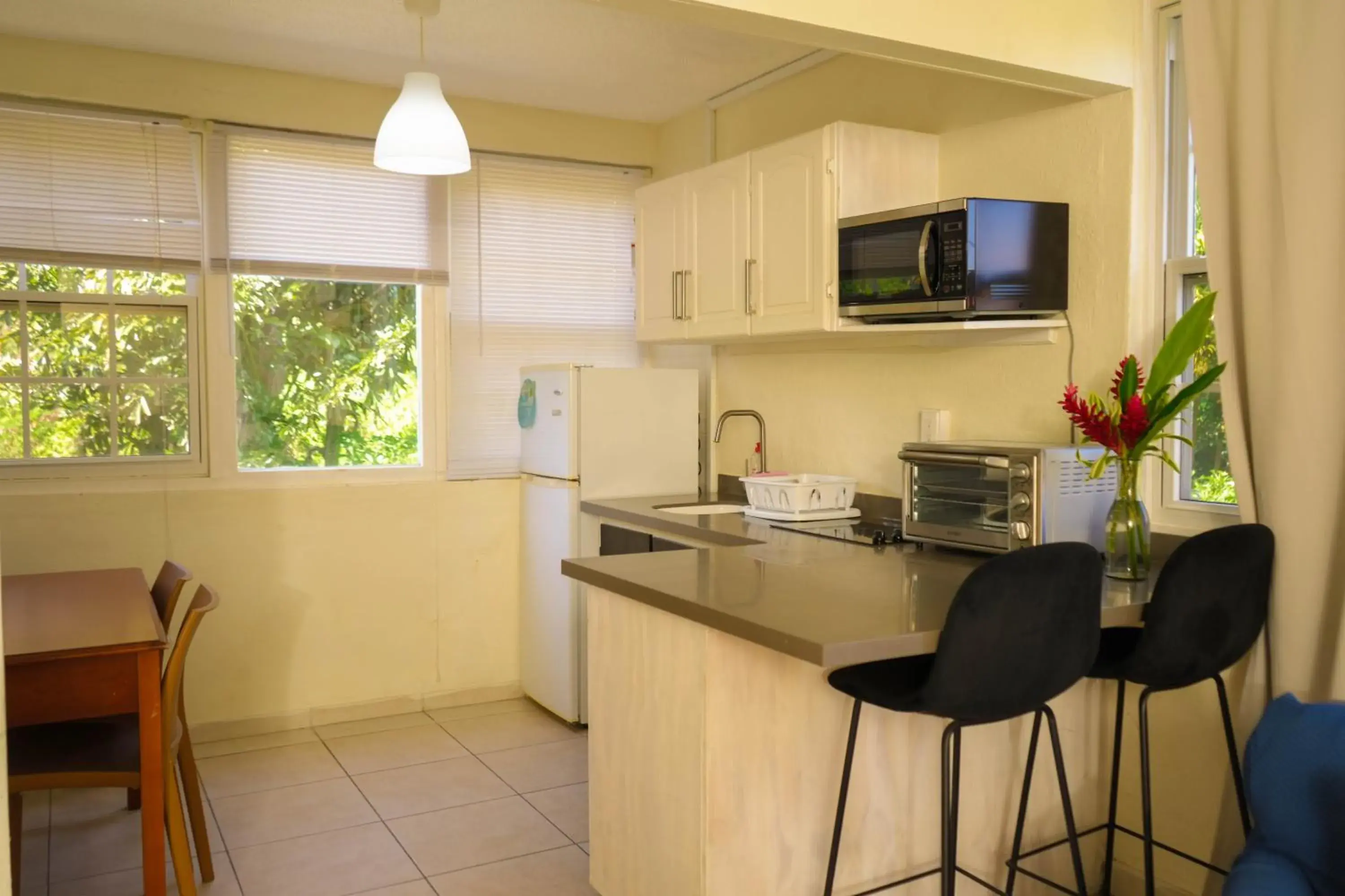 Superior Studio Queen in Palm Garden Hotel Barbados Superior Studio Queen in Palm Garden Hotel Barbados