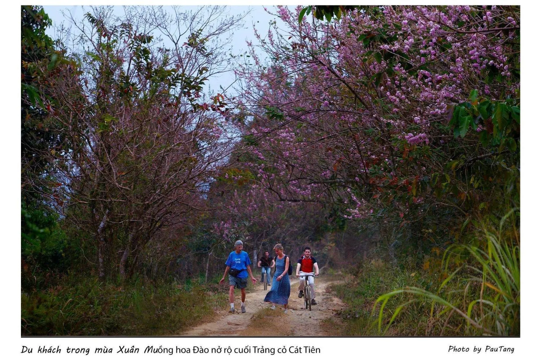 Property building in Gibbon Singing Home Stay