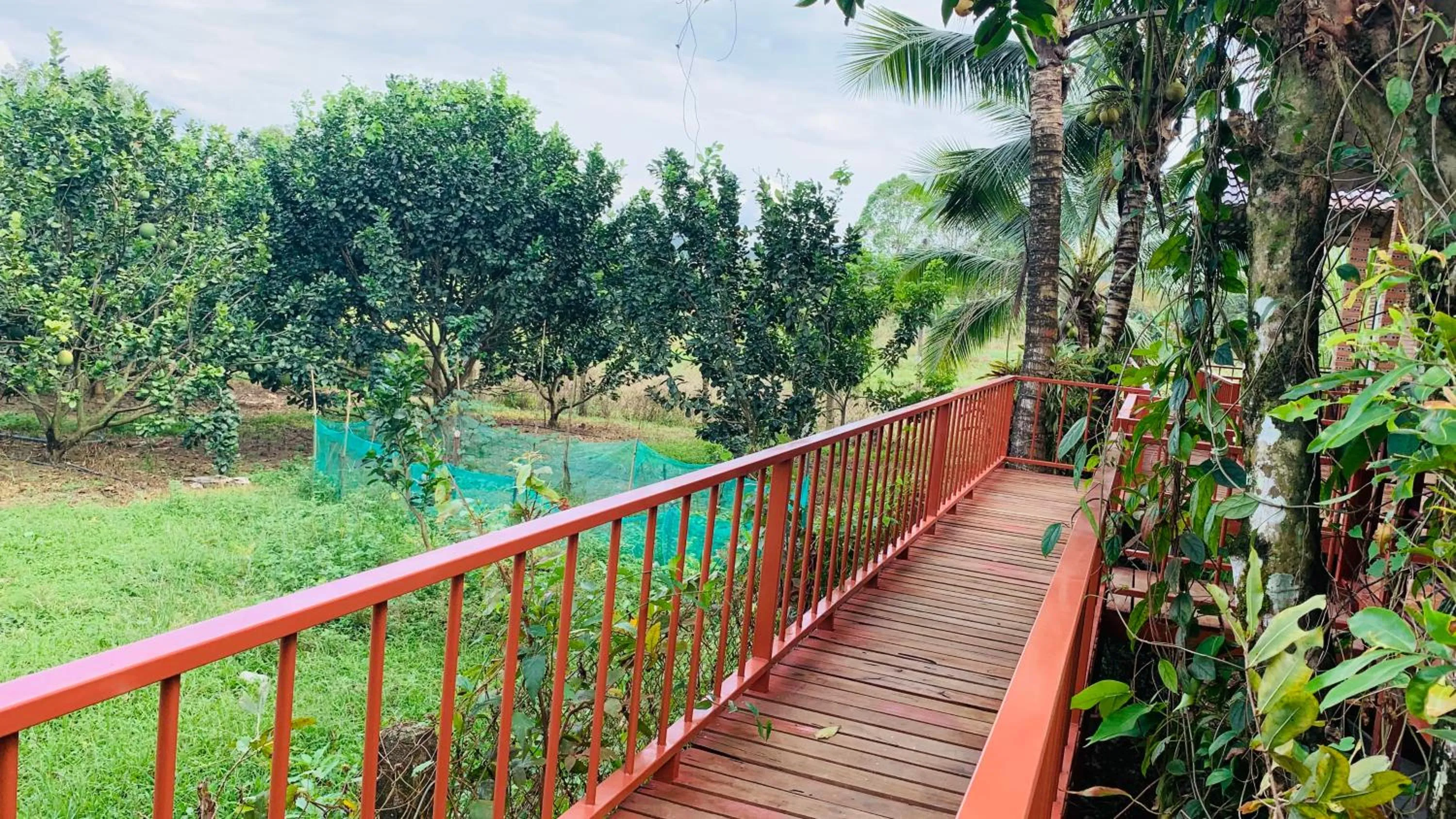 Gibbon Singing Home Stay