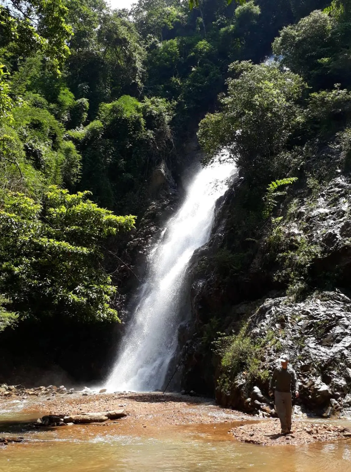 Gibbon Singing Home Stay
