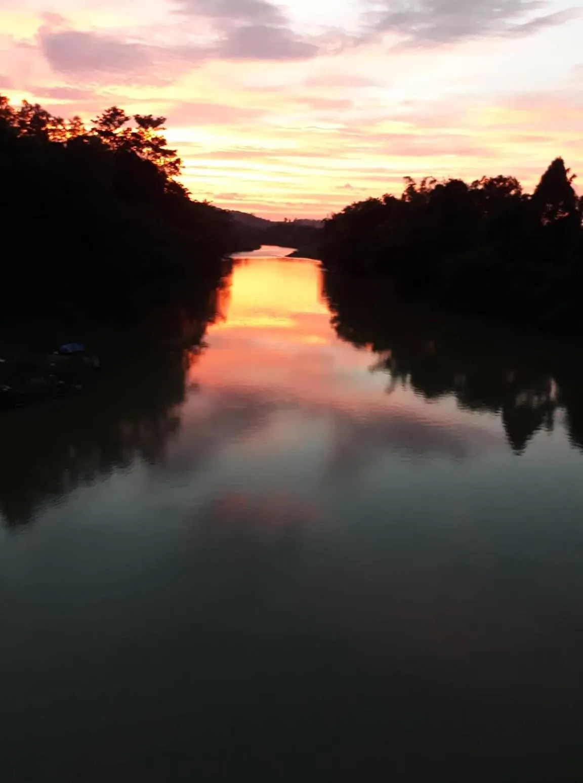 Gibbon Singing Home Stay