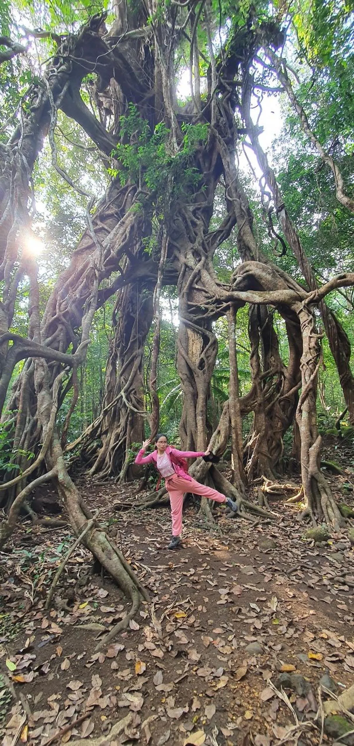 Gibbon Singing Home Stay