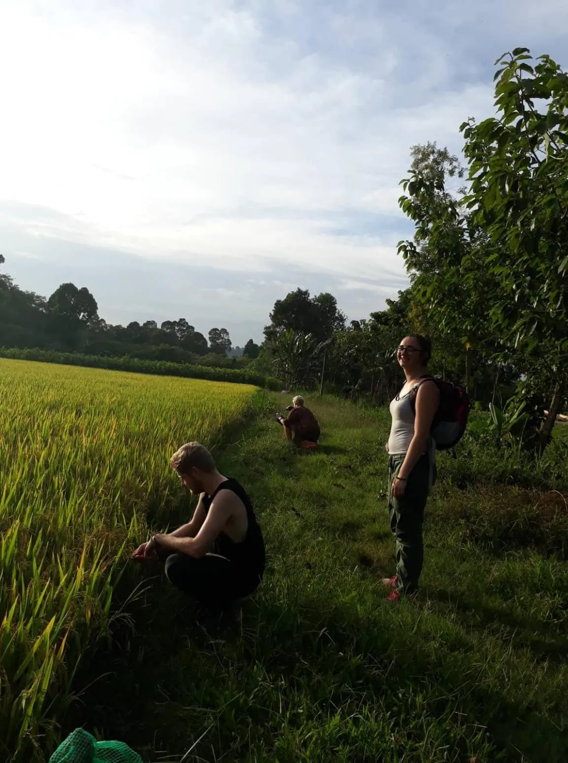 Gibbon Singing Home Stay