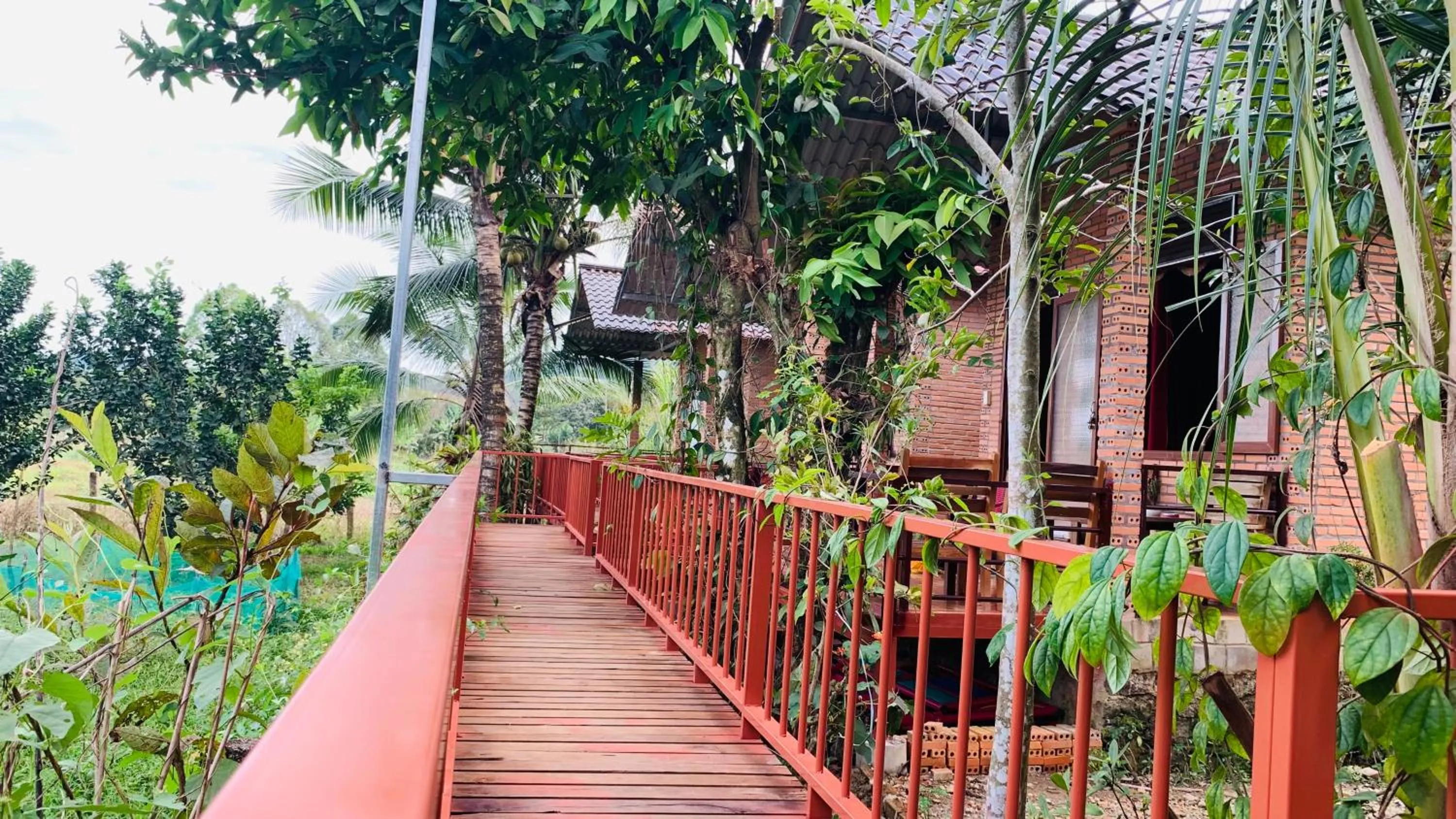 Gibbon Singing Home Stay