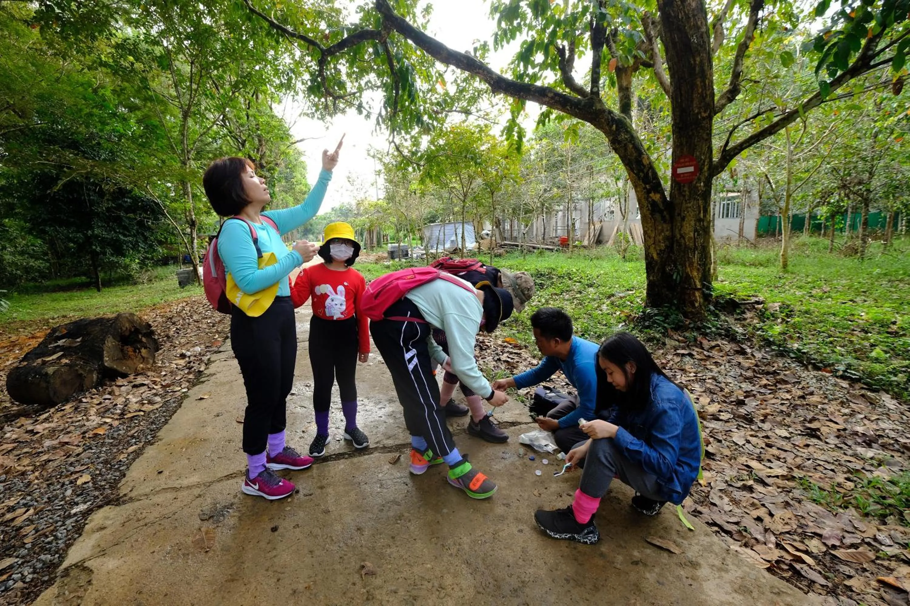 Gibbon Singing Home Stay