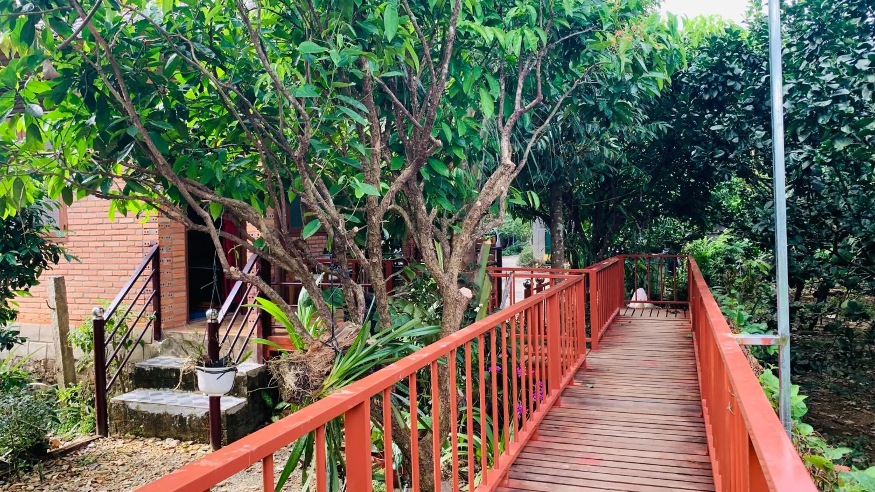 Gibbon Singing Home Stay