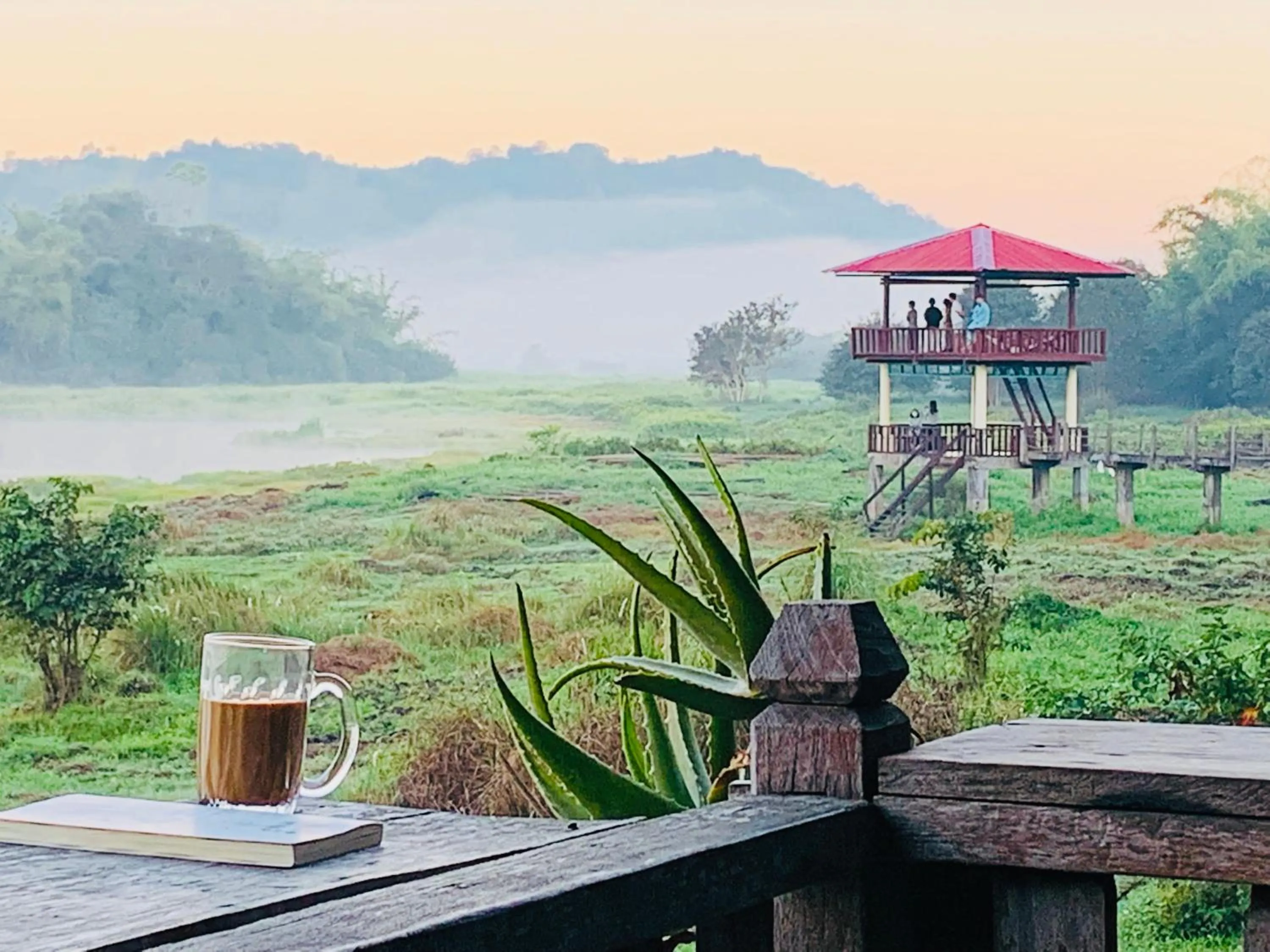 Gibbon Singing Home Stay