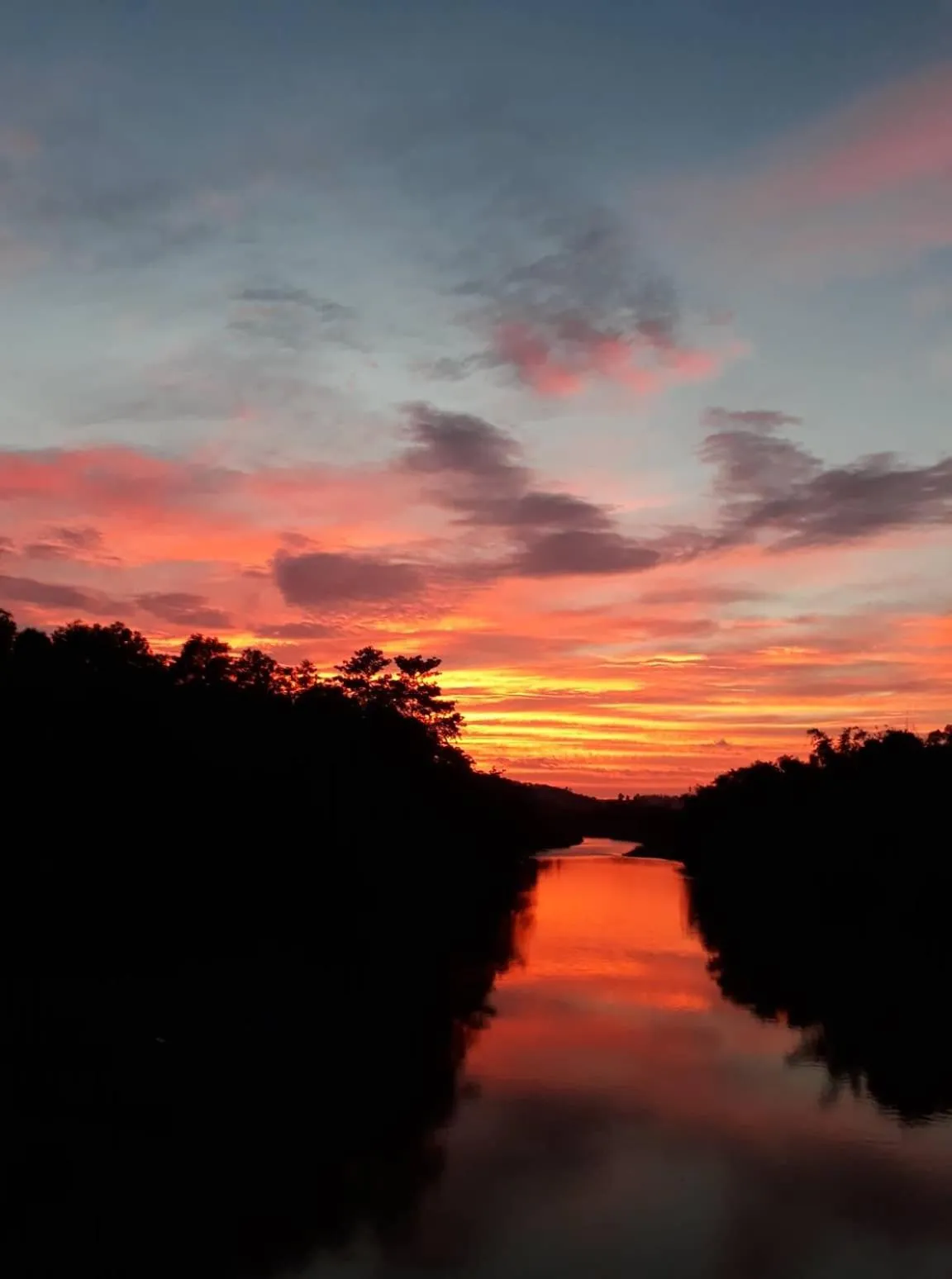 Gibbon Singing Home Stay