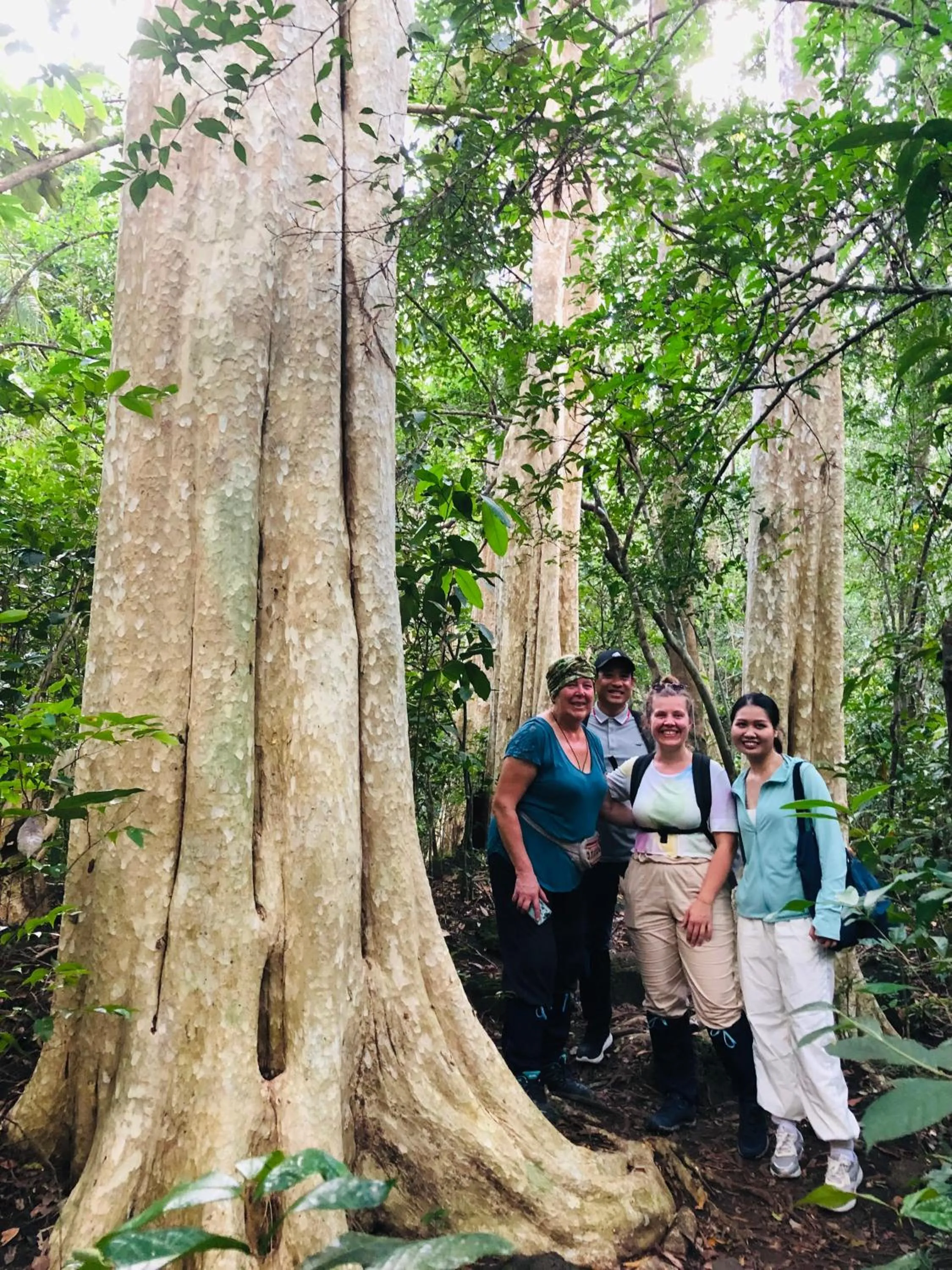 Gibbon Singing Home Stay