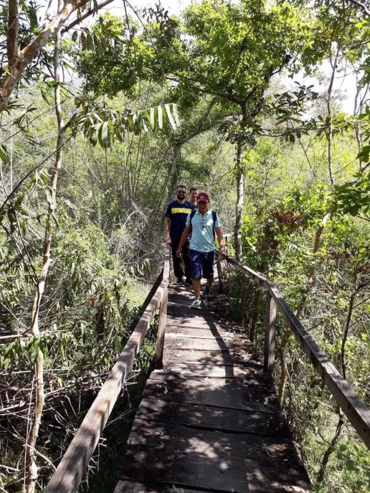 Gibbon Singing Home Stay