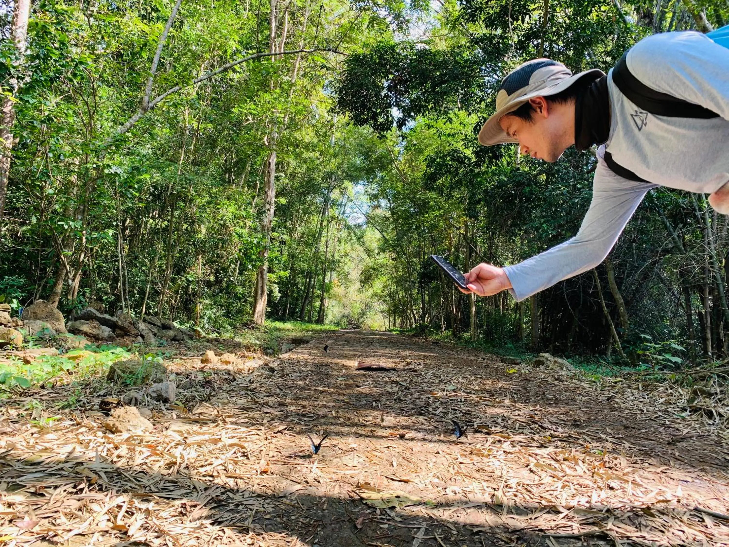 Gibbon Singing Home Stay