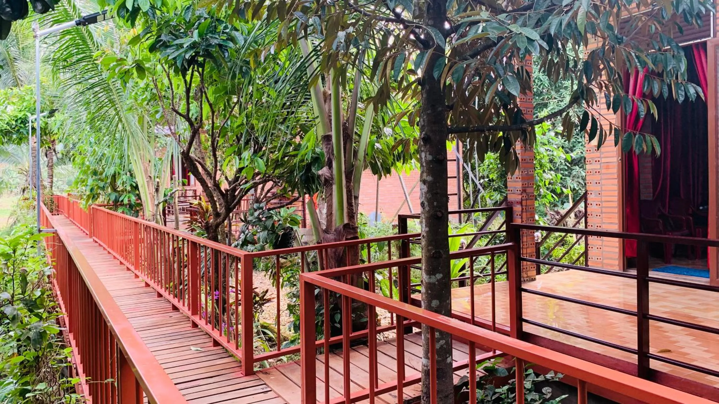 Gibbon Singing Home Stay