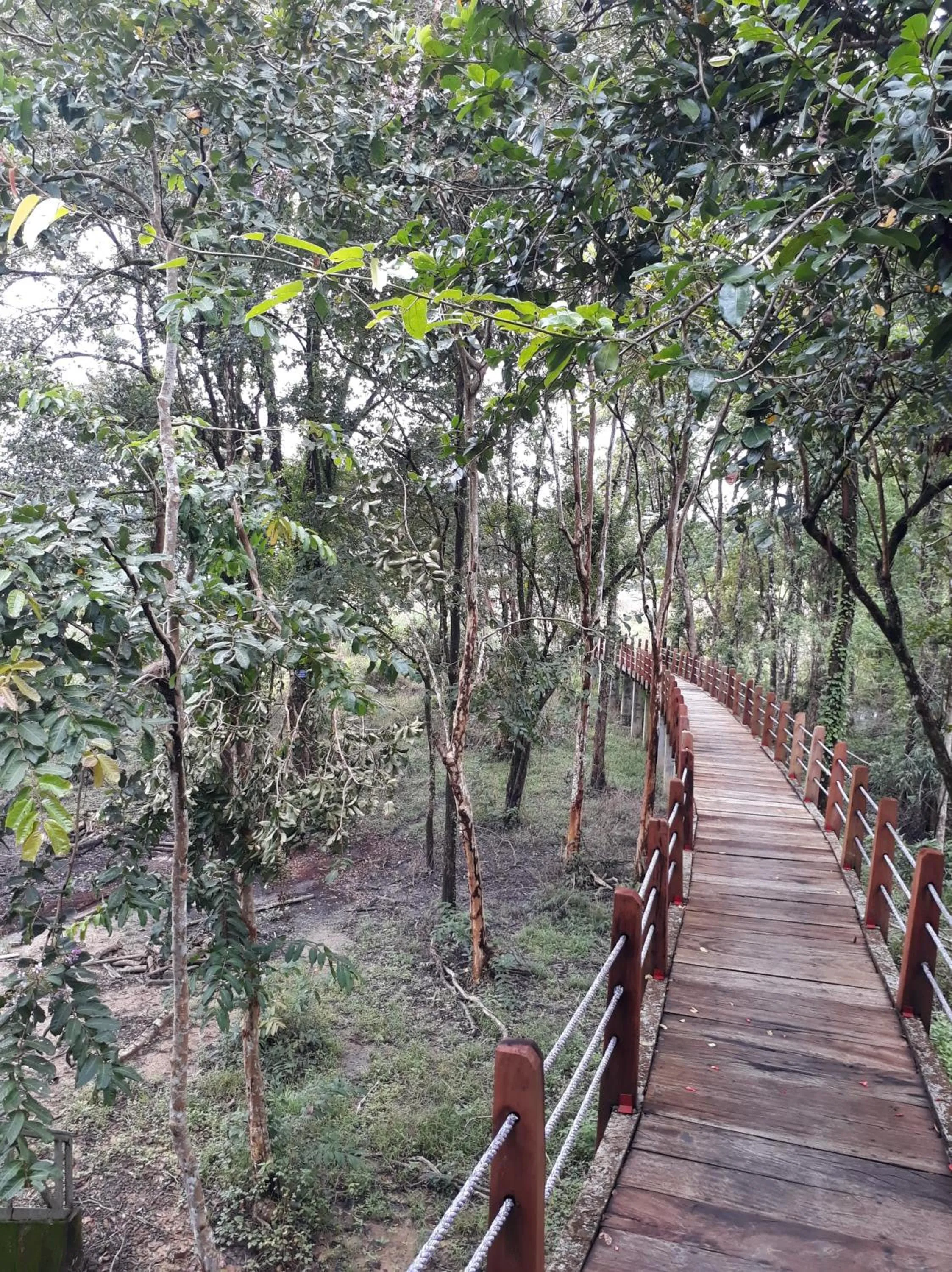 Property building in Gibbon Singing Home Stay