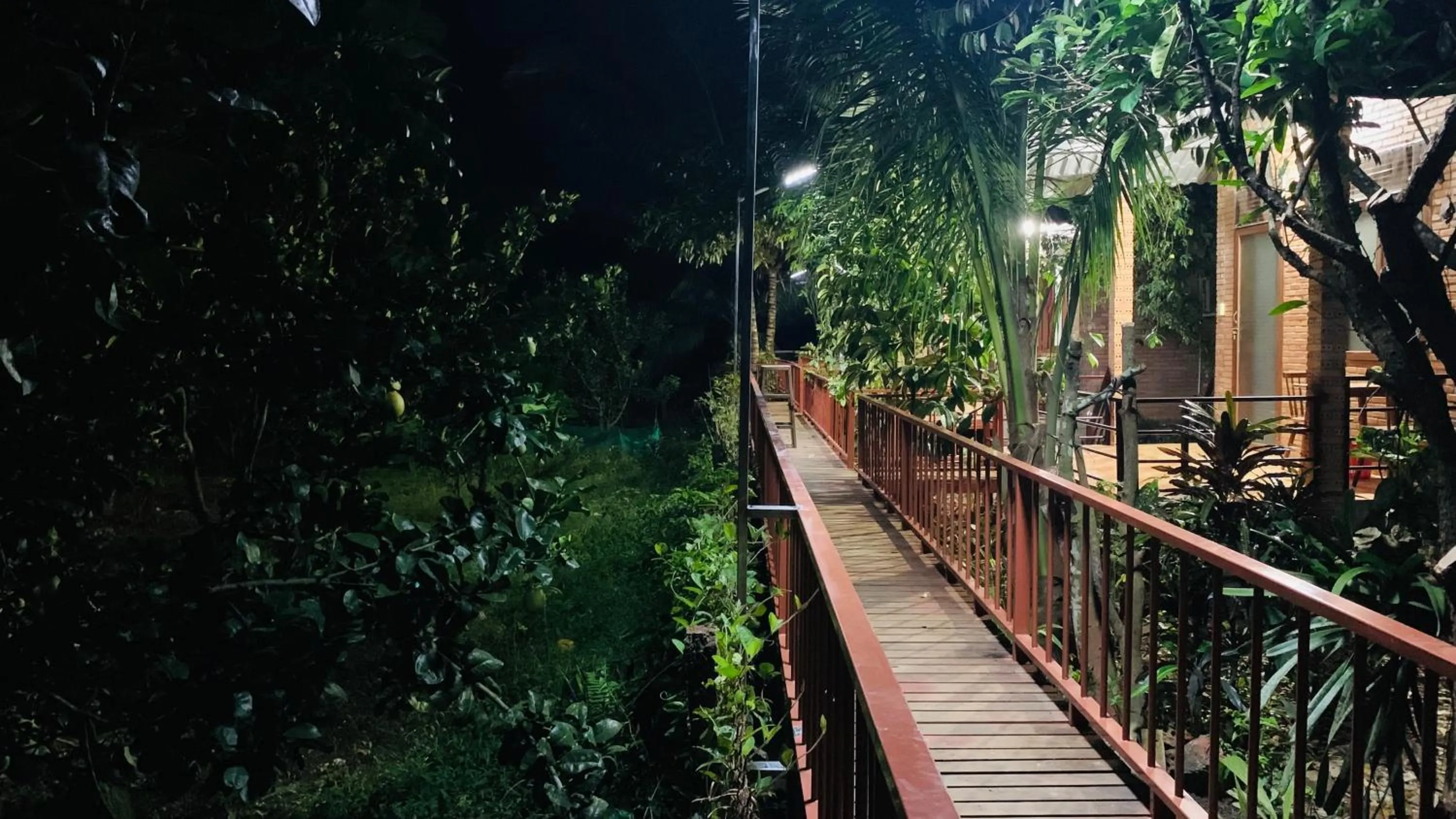 Gibbon Singing Home Stay