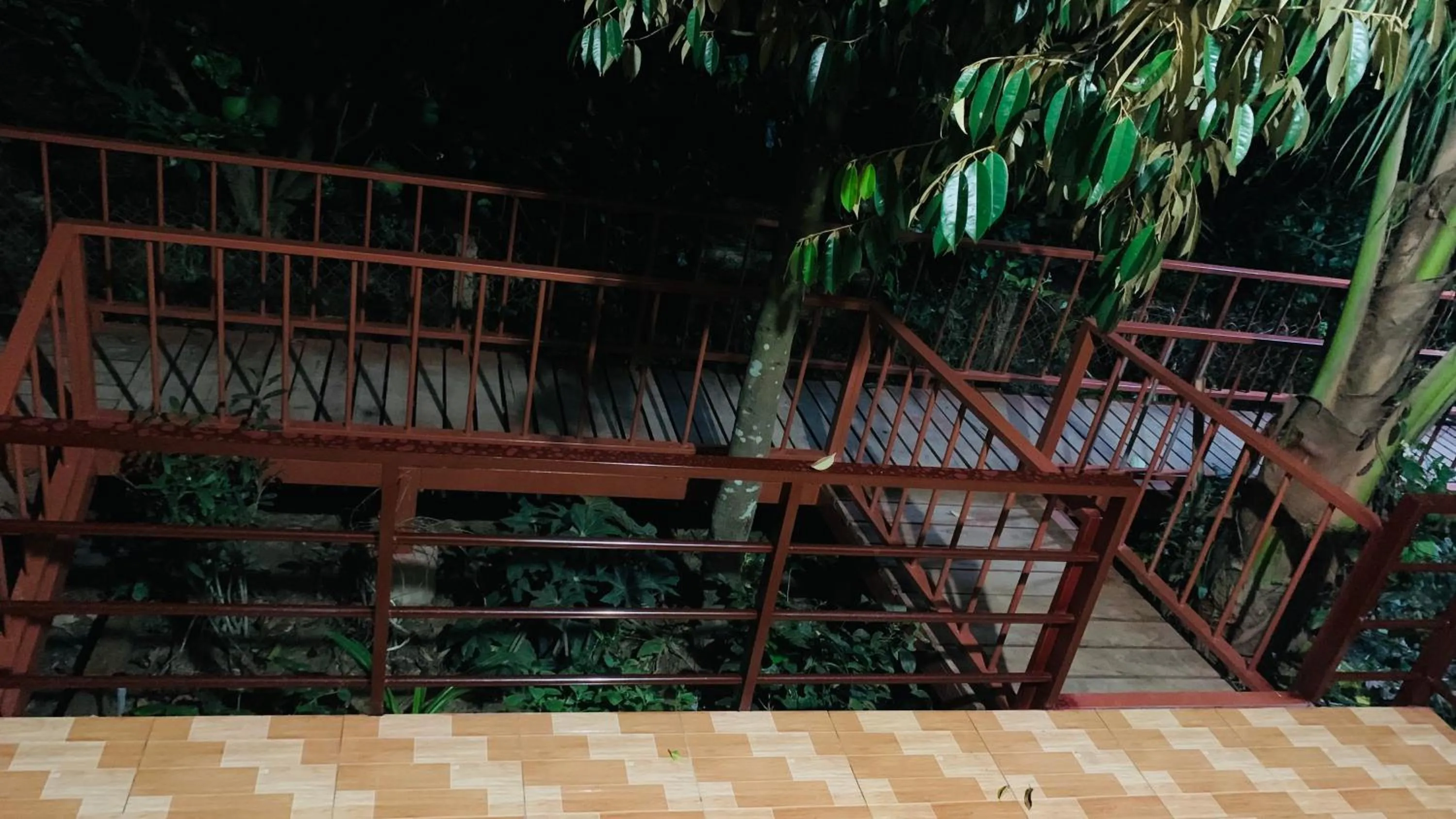 Gibbon Singing Home Stay