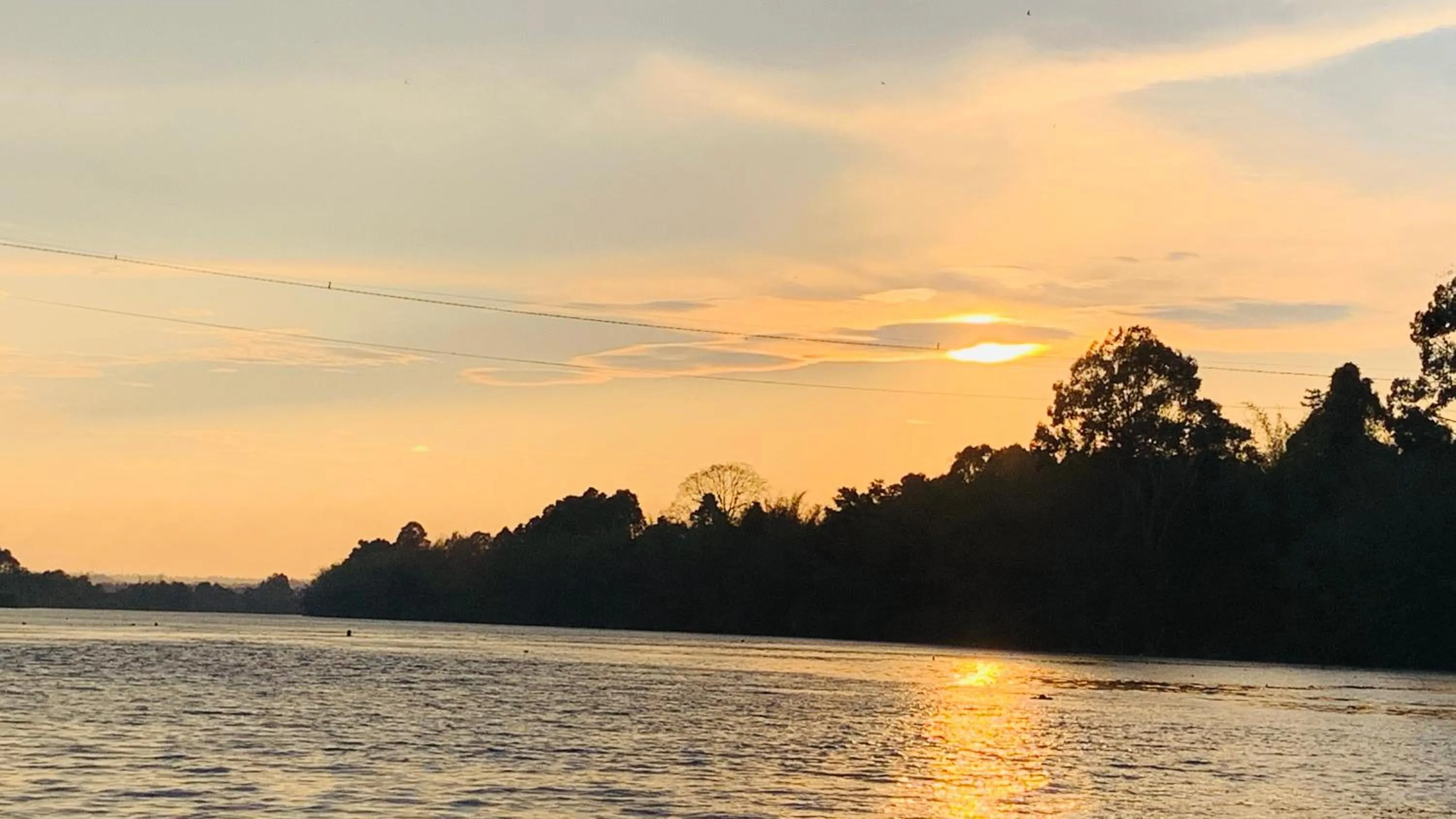 Gibbon Singing Home Stay