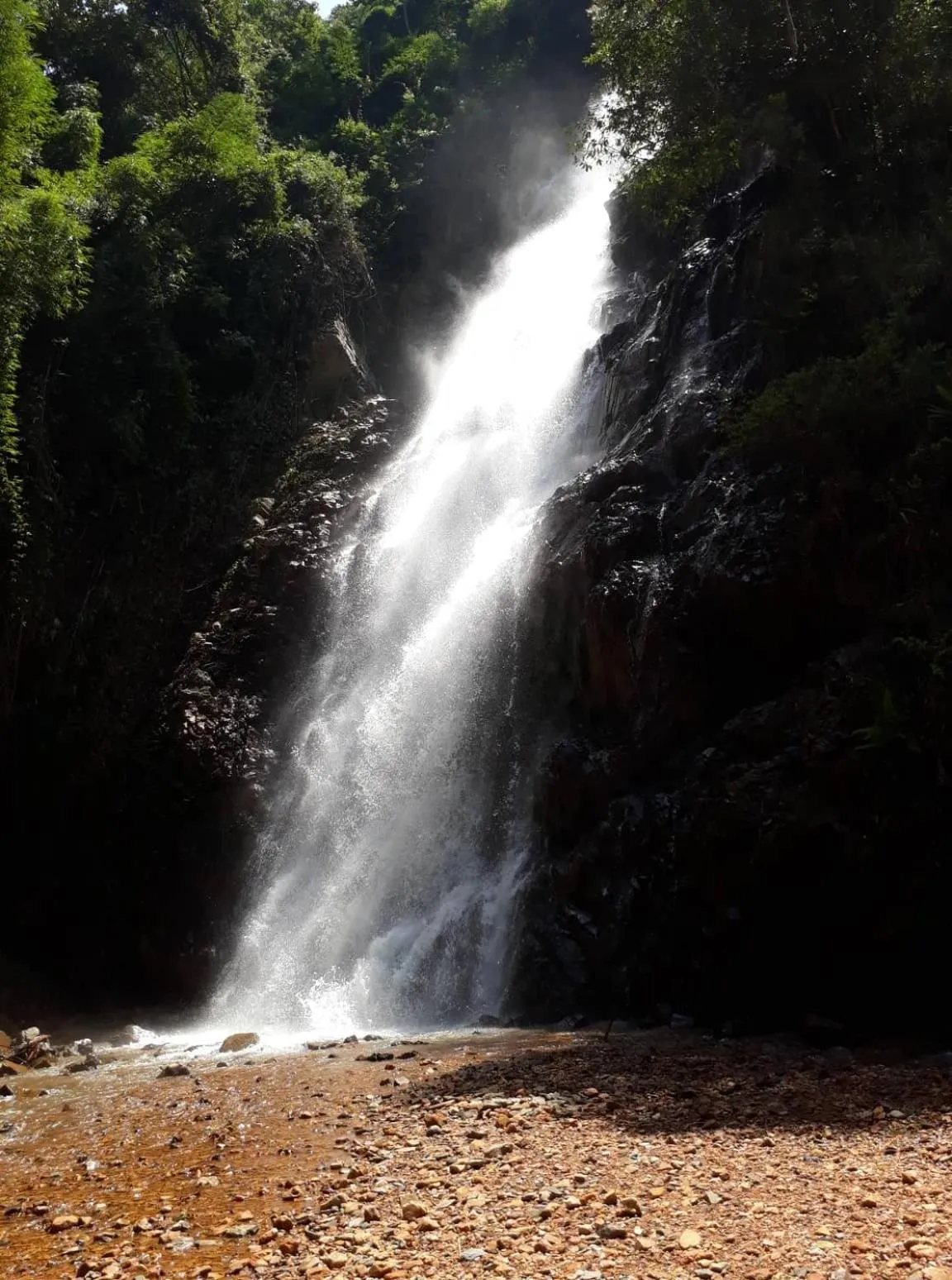 Gibbon Singing Home Stay