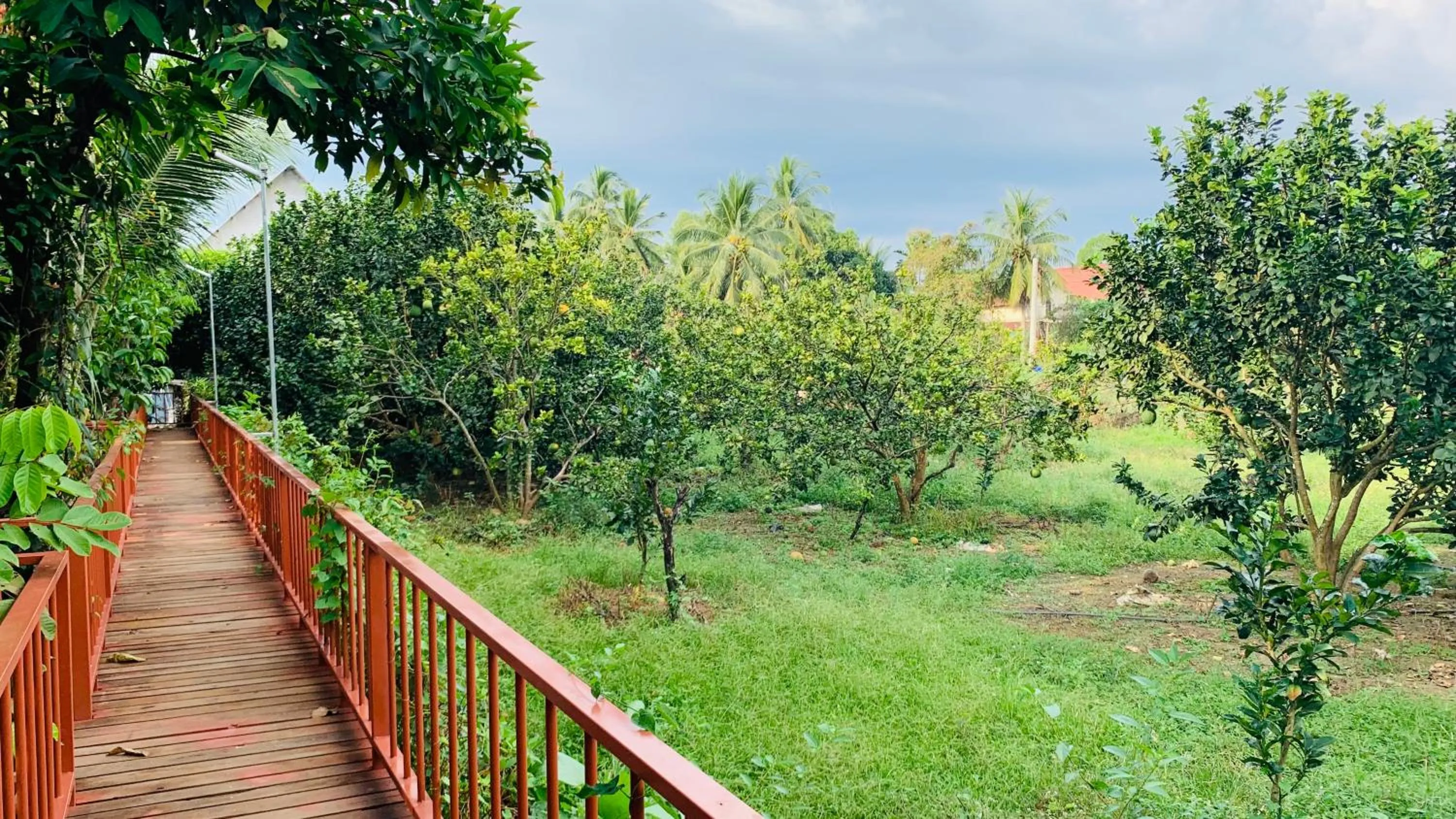 Gibbon Singing Home Stay