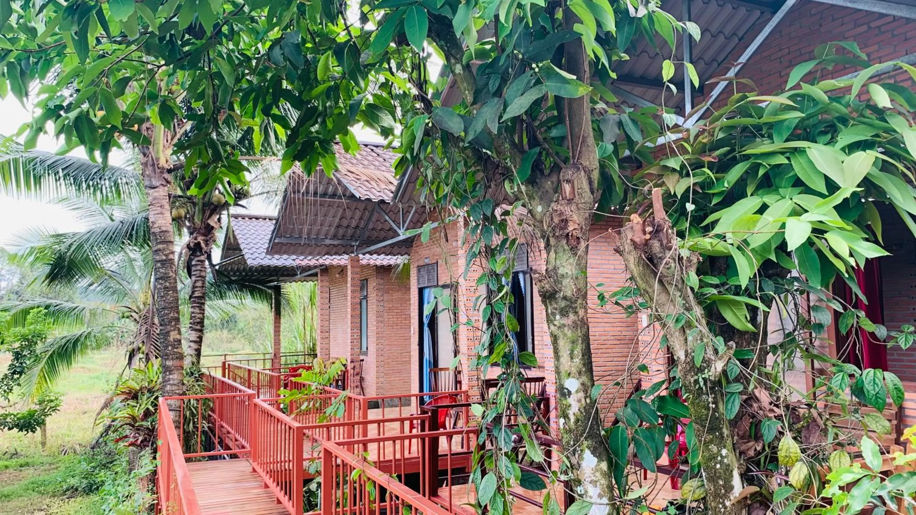 Gibbon Singing Home Stay