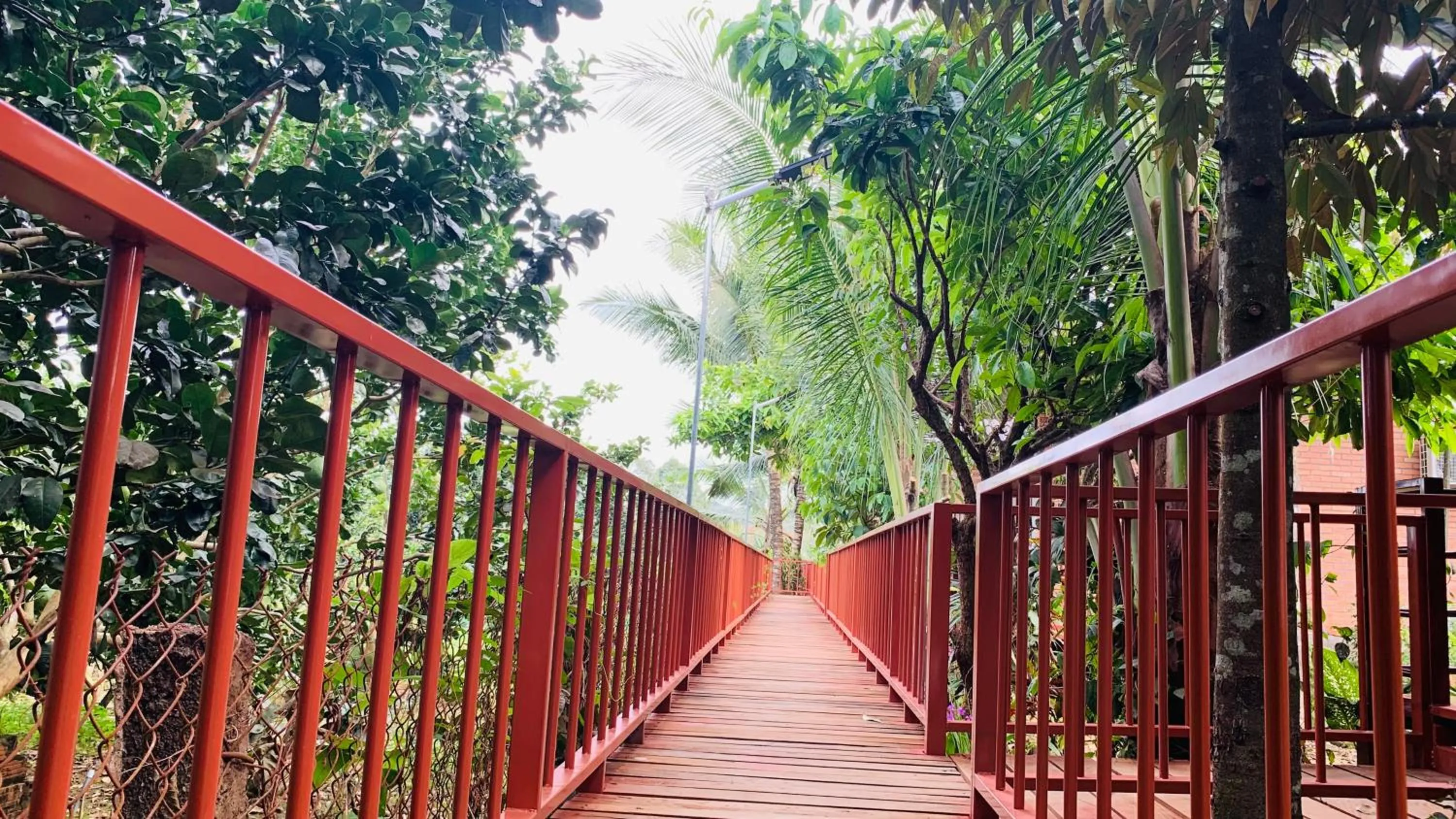 Gibbon Singing Home Stay