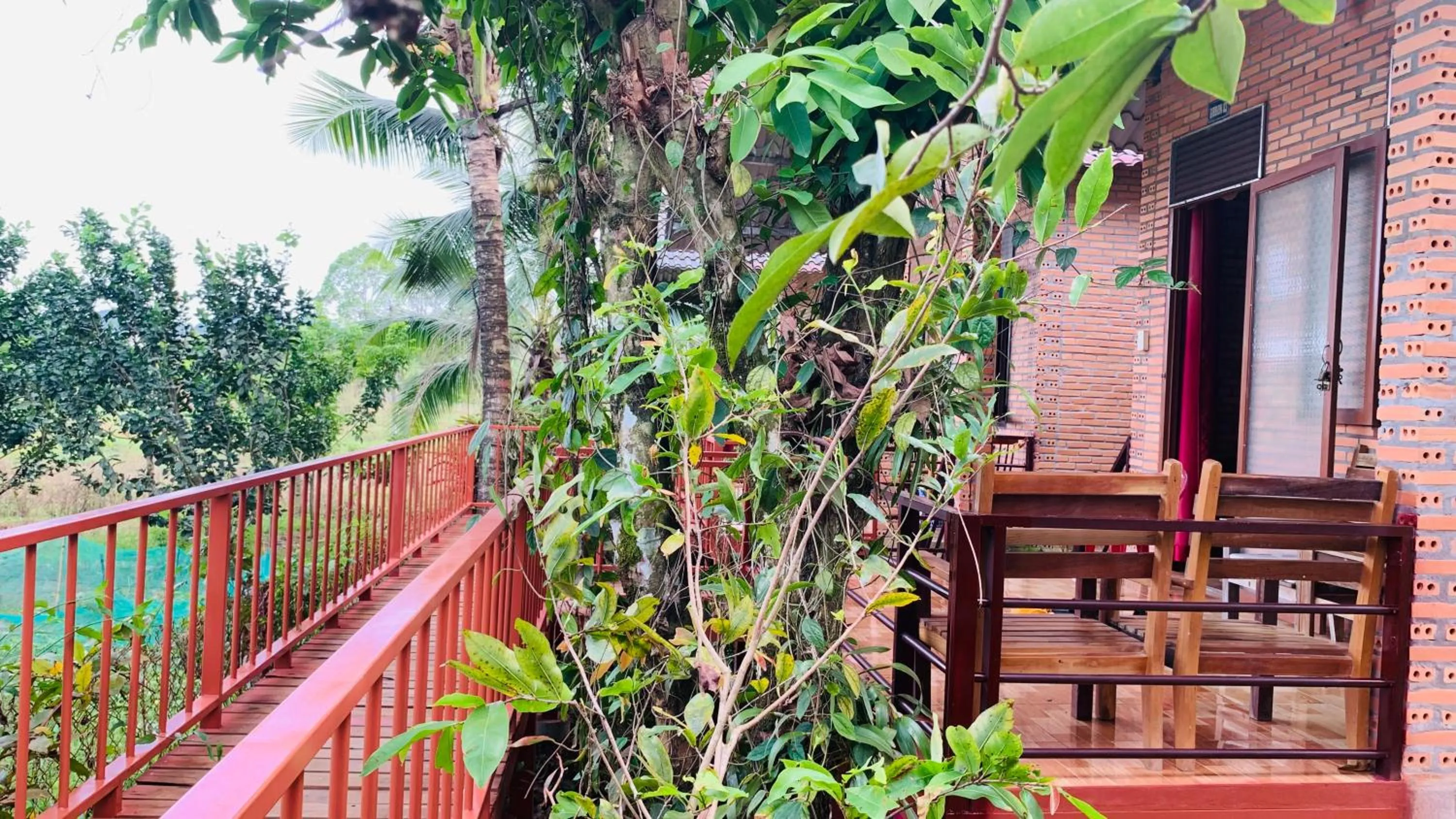 Gibbon Singing Home Stay