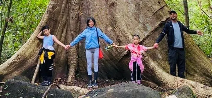 Gibbon Singing Home Stay