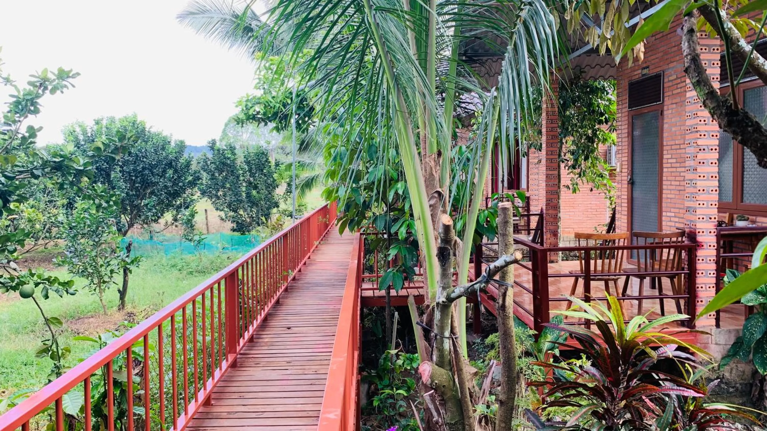 Gibbon Singing Home Stay