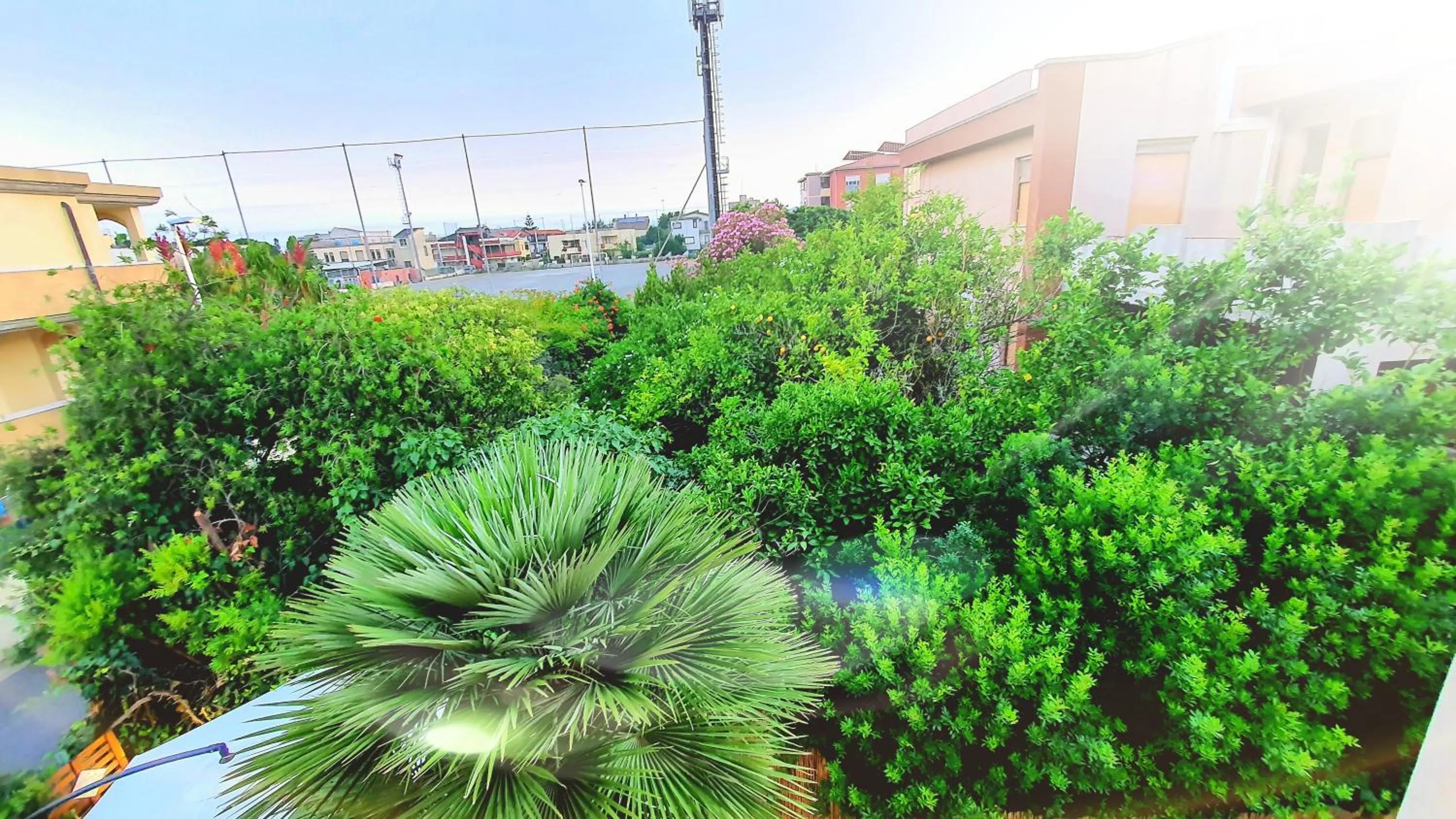 Garden in Casa Madda