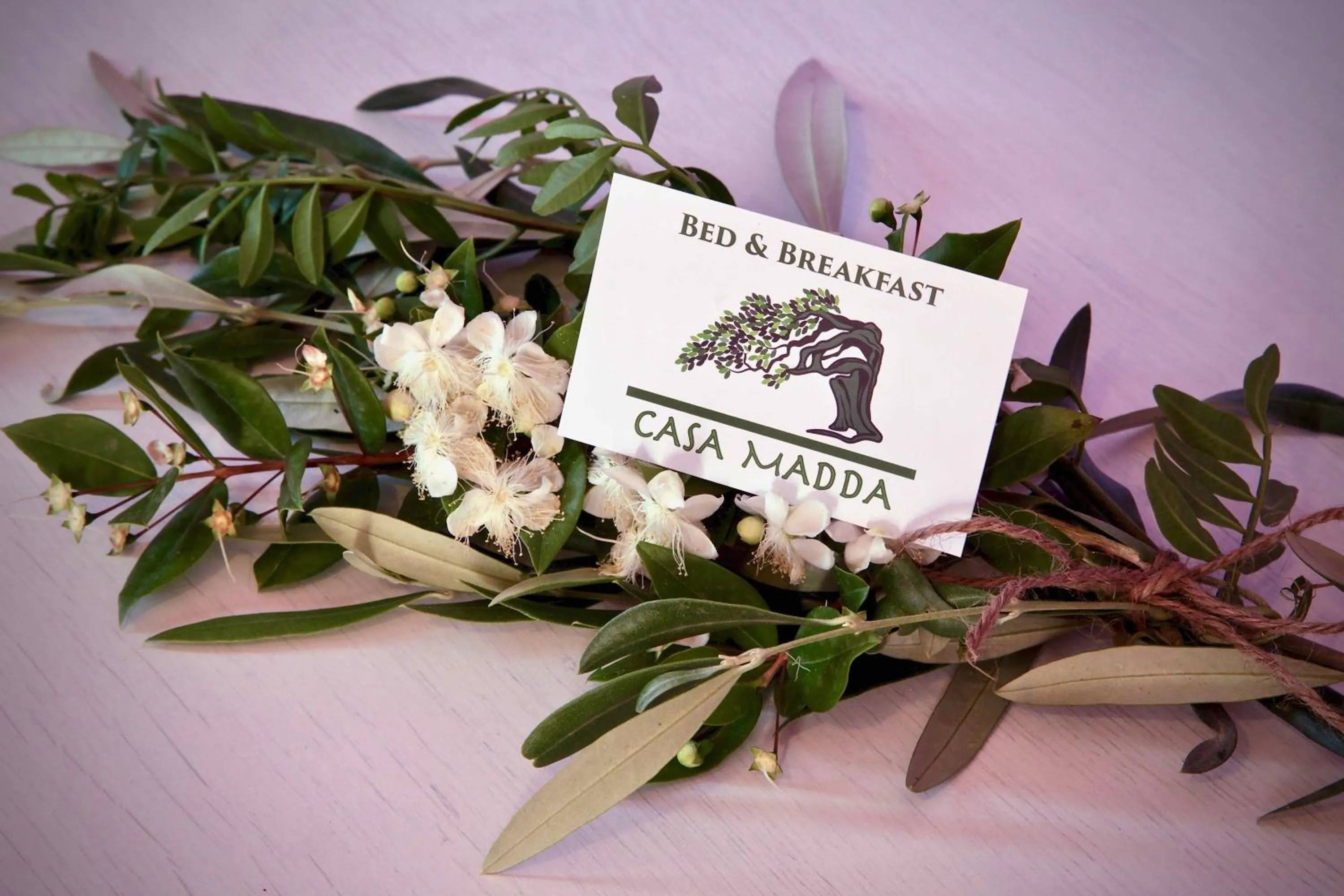 Logo/Certificate/Sign in Casa Madda