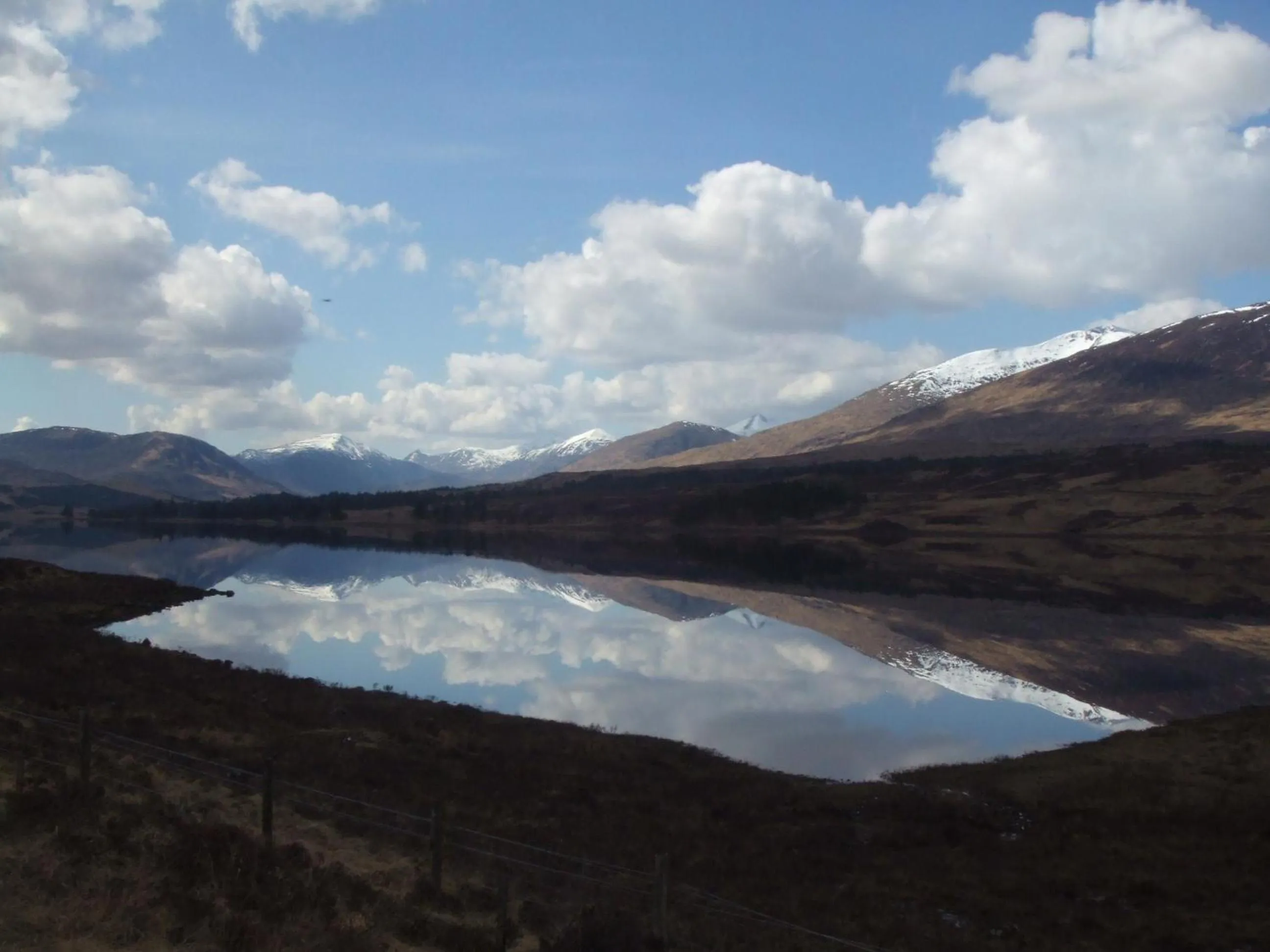 Area and facilities in The Imperial Hotel