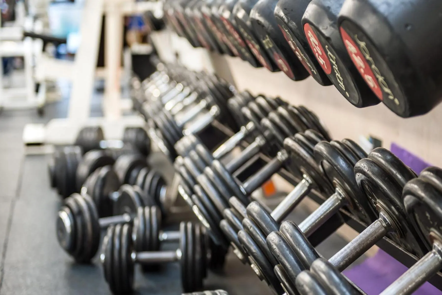 Fitness centre/facilities in Best Western Wesley Inn & Suites