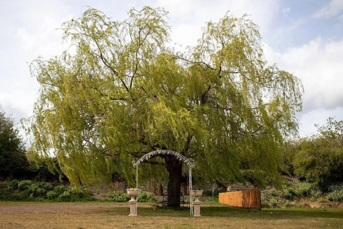 Garden in Scole Inn Hotel
