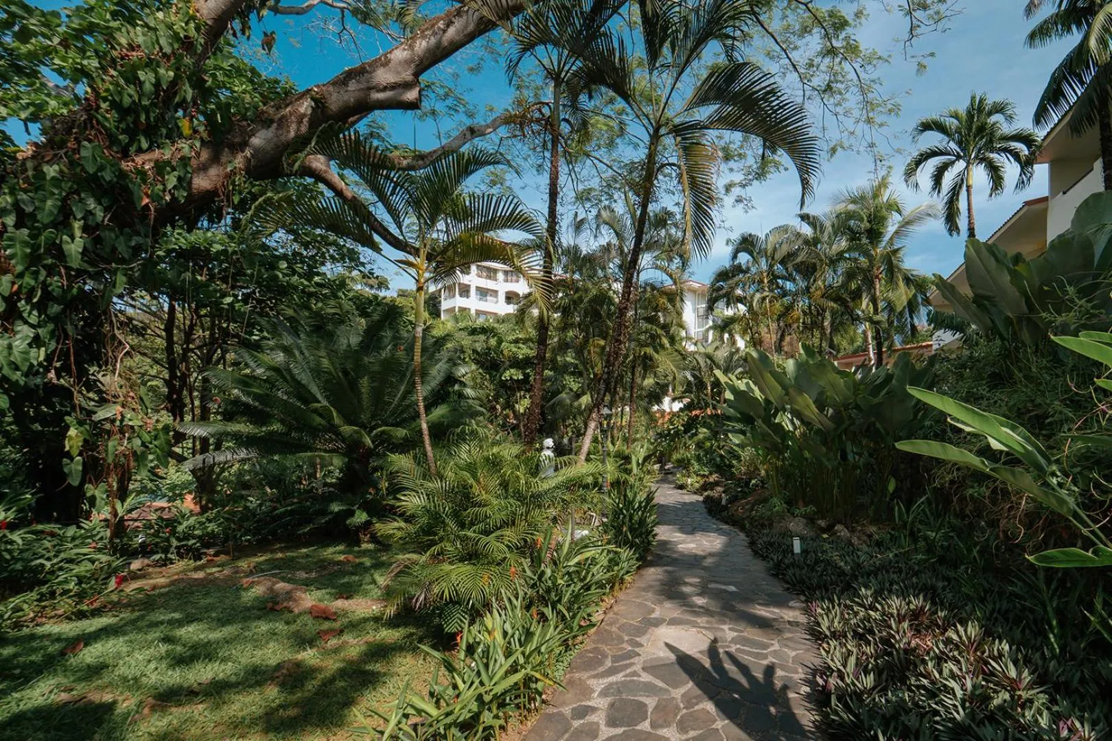 Hiking in Parador Nature Resort and Spa