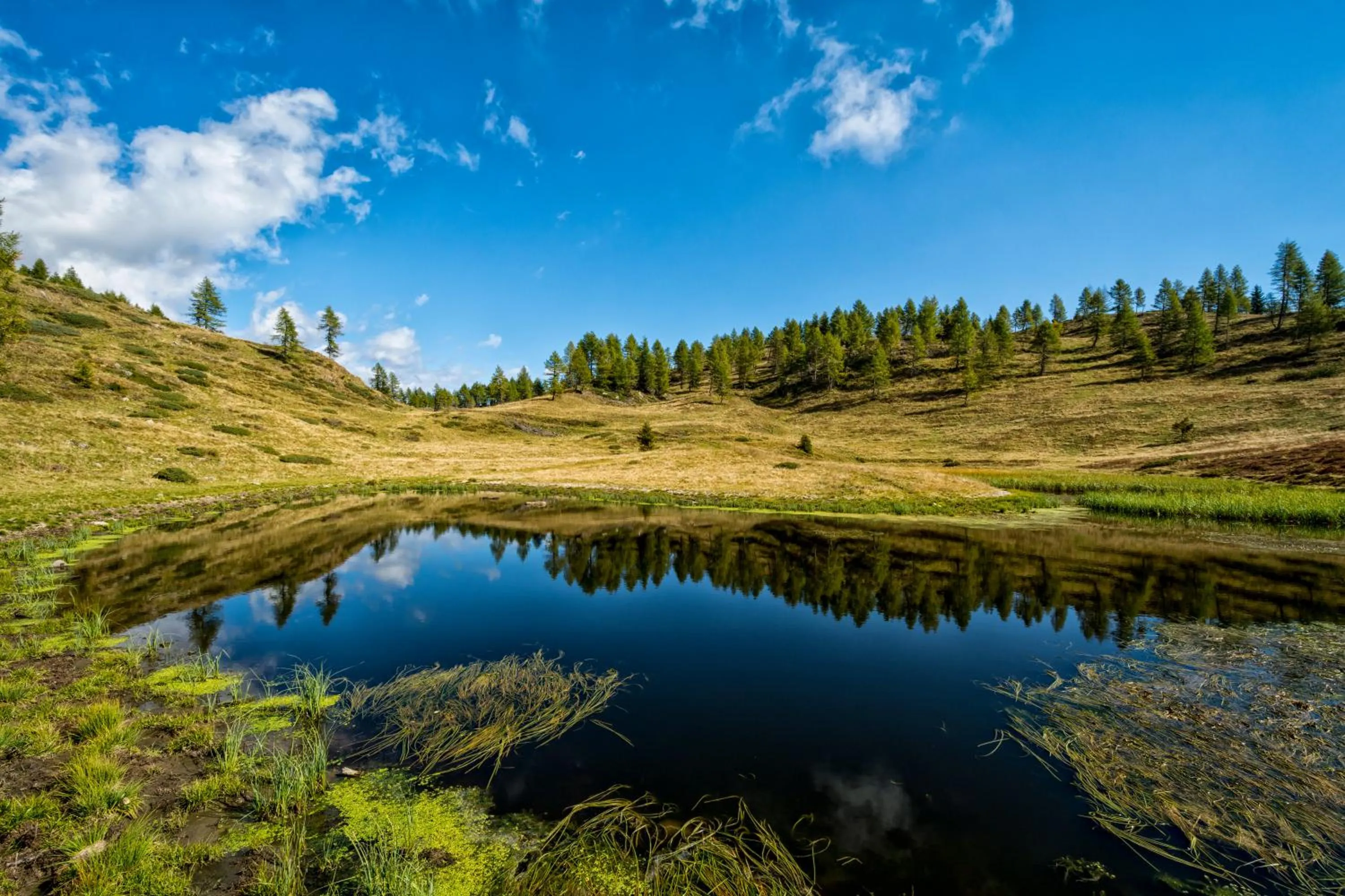 Natural landscape in Hotel Aurai