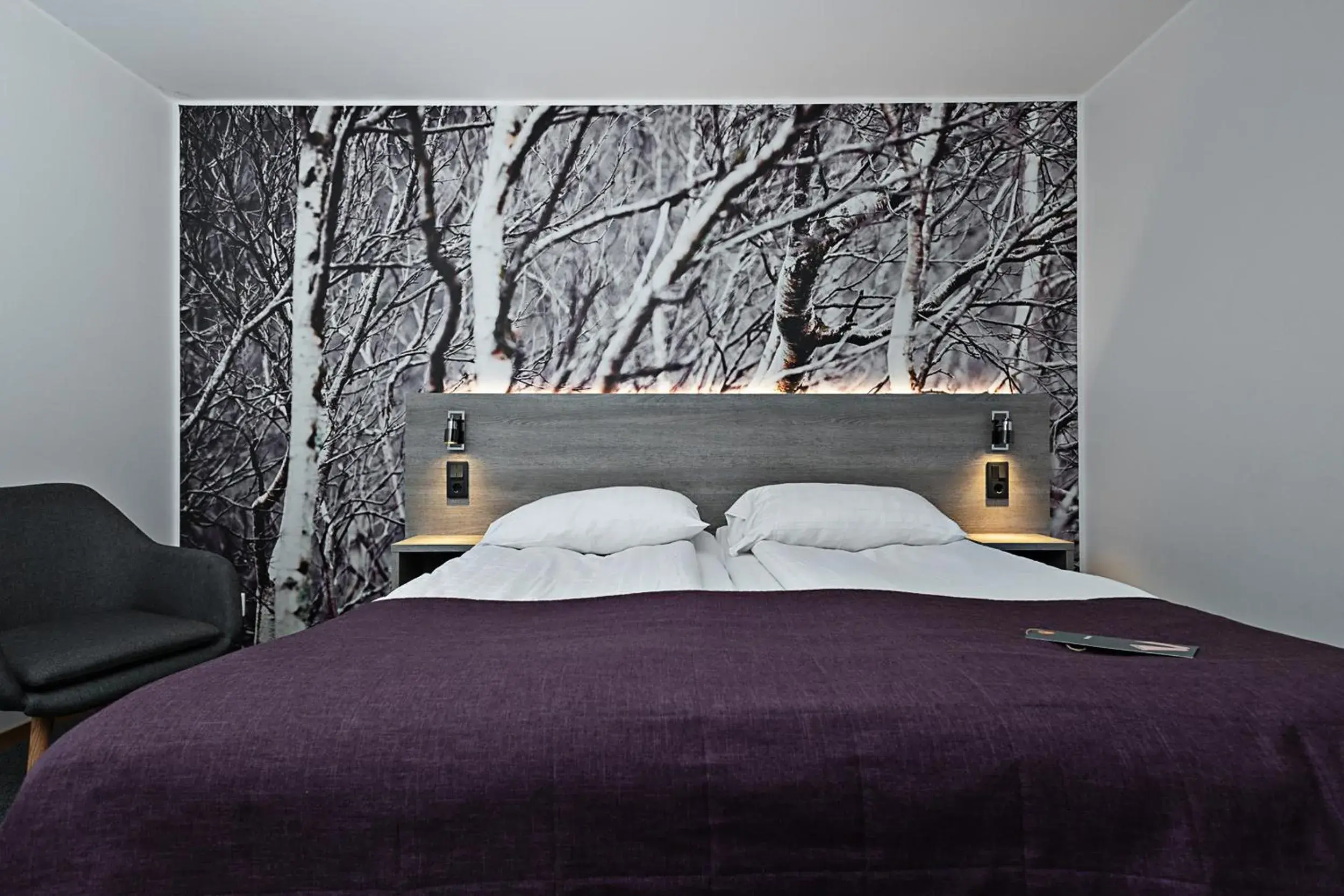 Compact Double Room without Window in Comfort Hotel Umeå City Compact Double Room without Window in Comfort Hotel Umeå City