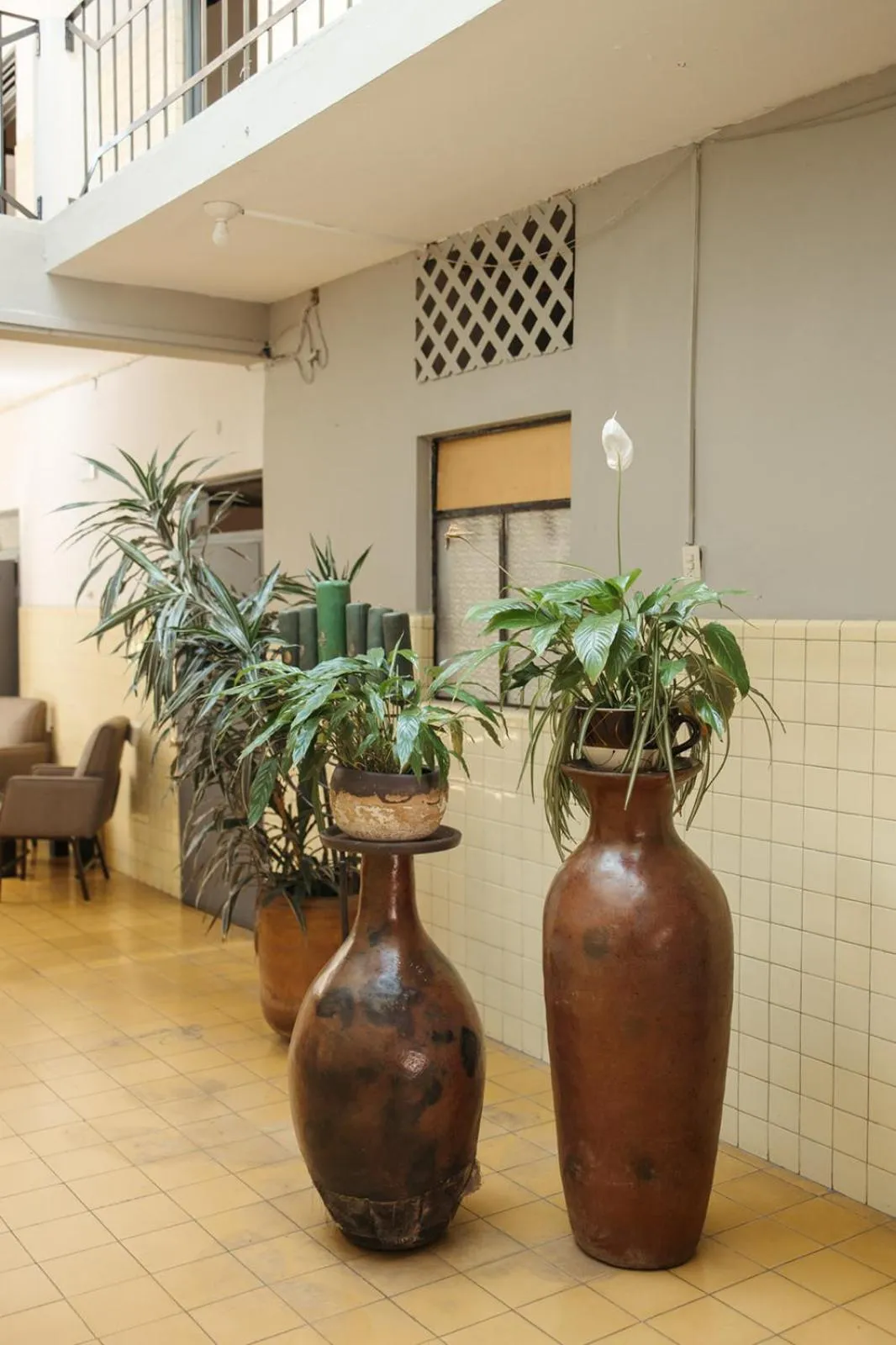 Property building in Hotel Allende Morelia