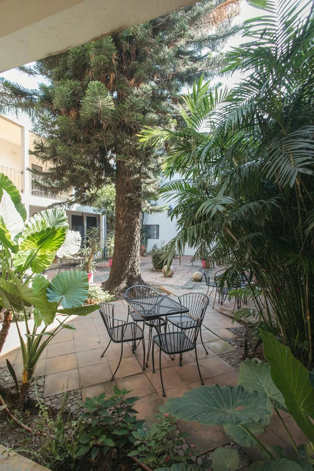 Garden in Hotel Allende Morelia