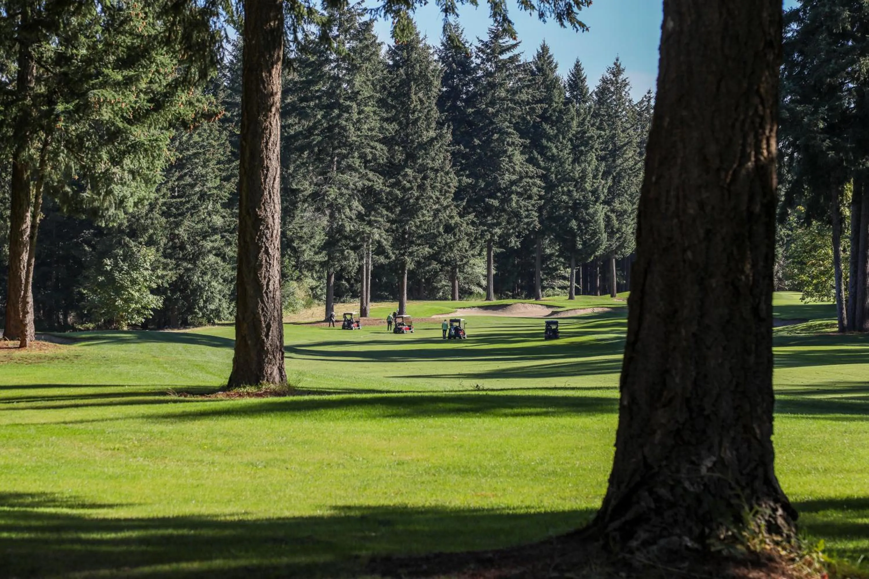 Natural landscape in Crown Isle Resort & Golf Community