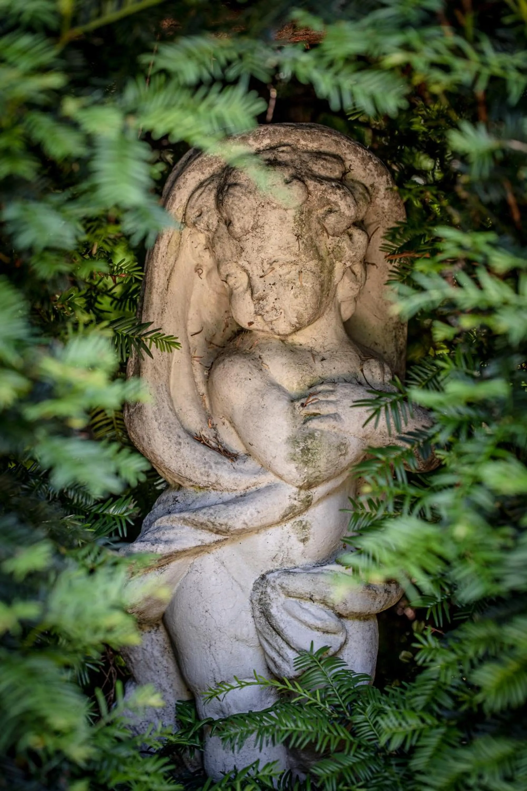 The Corinda Collection